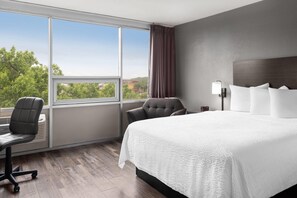 Desk, iron/ironing board, free cribs/infant beds, free WiFi - Baymont by Wyndham Great Falls City Center (Great Falls)