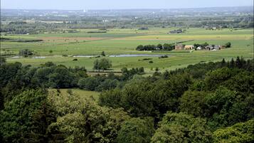 Een landelijk landschap met velden, een kerk en een klein groepje huizen.