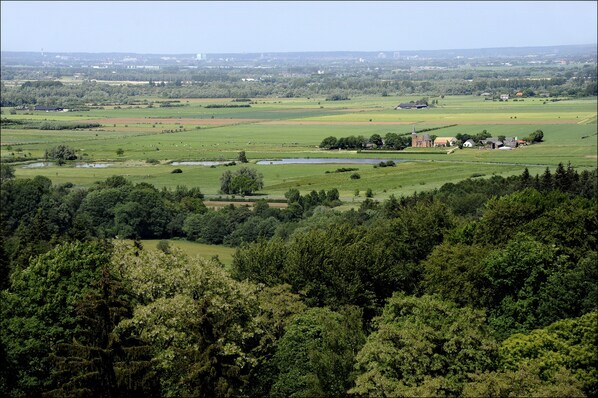 Paisaje rural con campos, una iglesia y un pequeño grupo de casas.