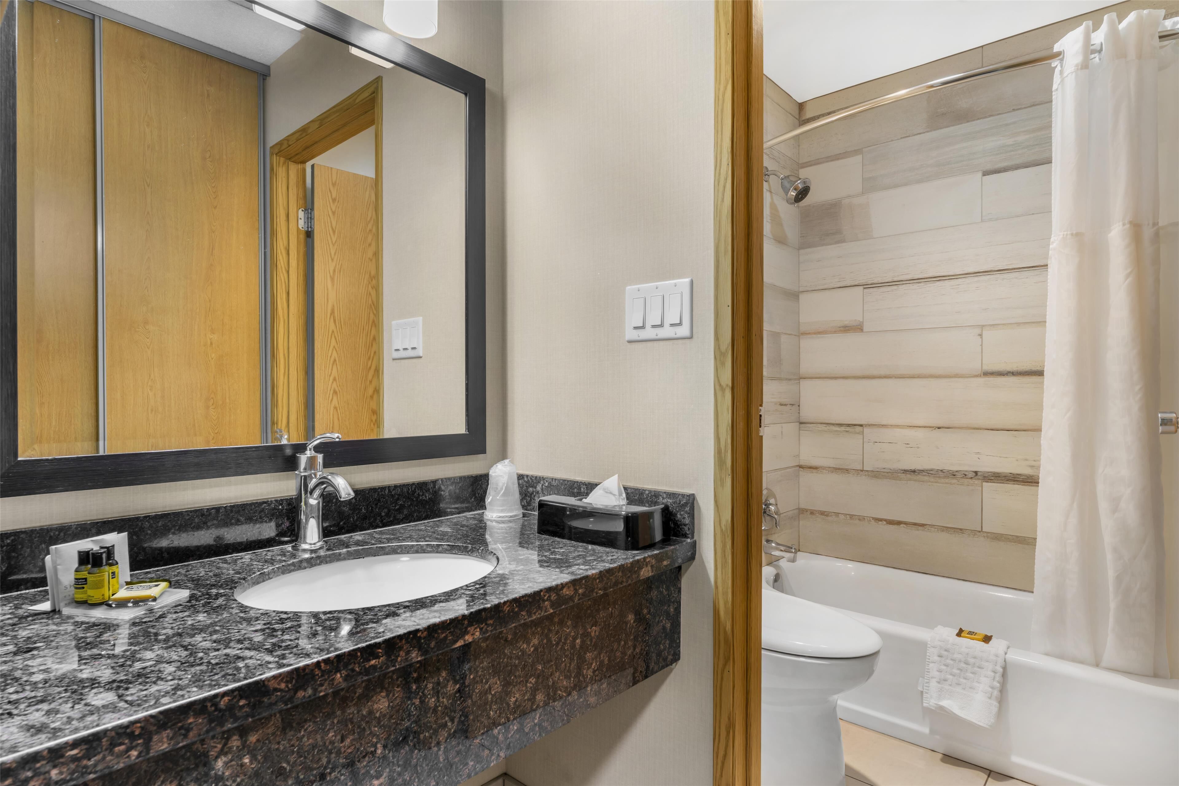 A bathroom with a granite countertop sink, a mirror, a toilet, and a shower area.