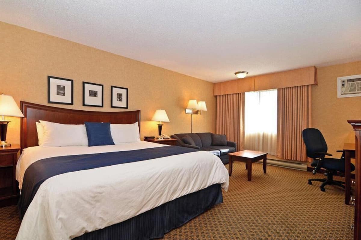 A hotel room with a large bed, a desk, a chair, and a couch. There are framed pictures on the wall and a window with curtains.