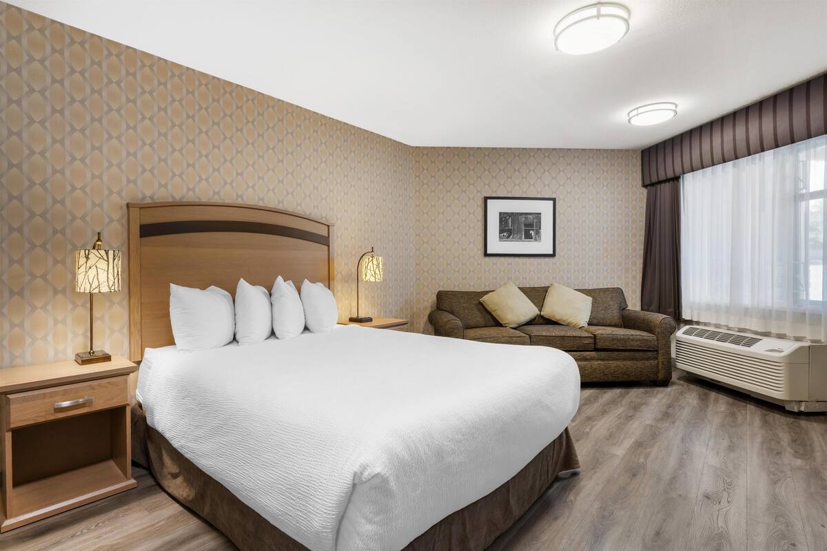 A hotel room with a large bed, a sofa, a bedside table with a lamp, a picture on the wall, and an air conditioning unit.