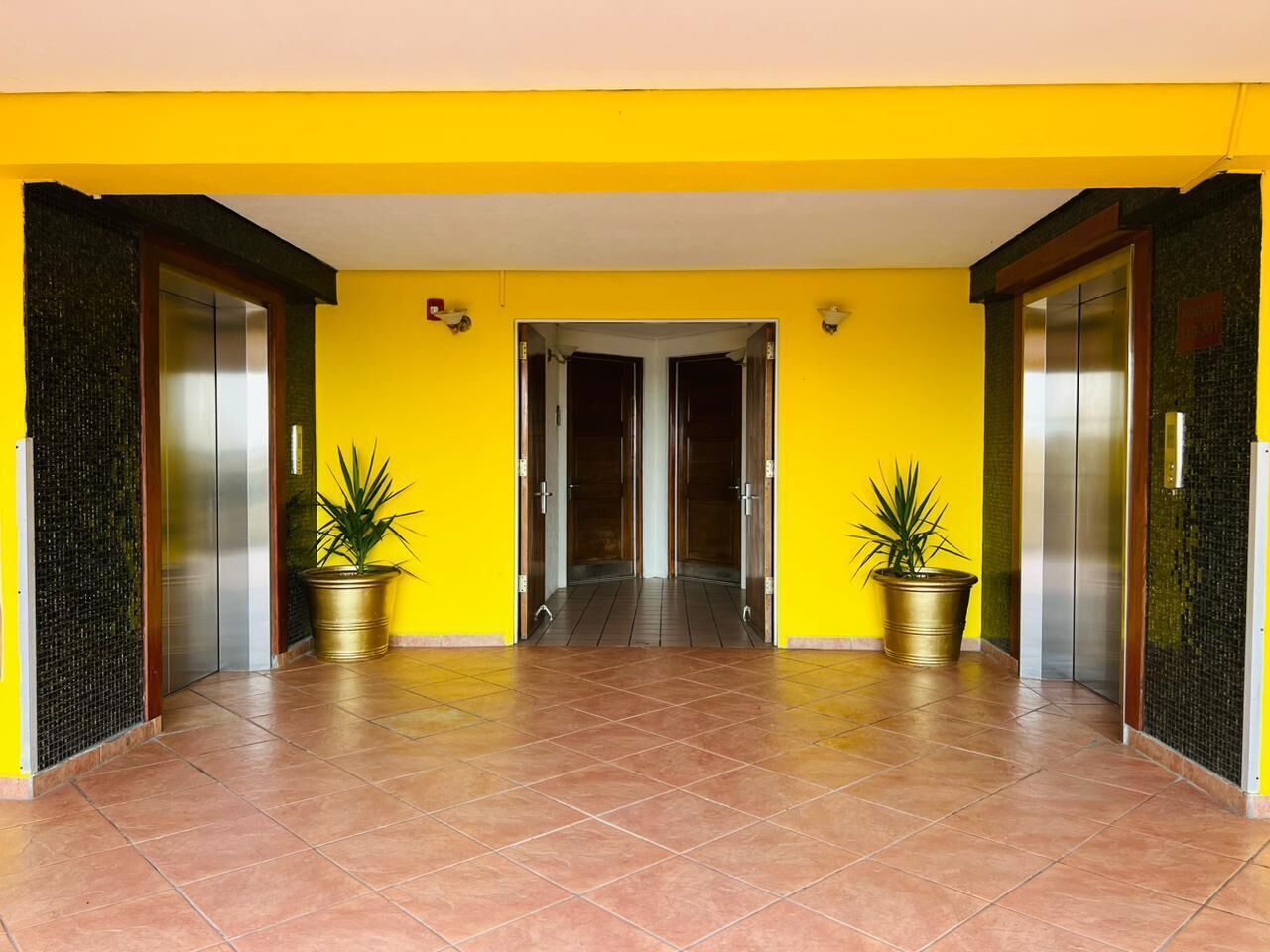 A bright yellow hallway with two elevators and potted plants.
