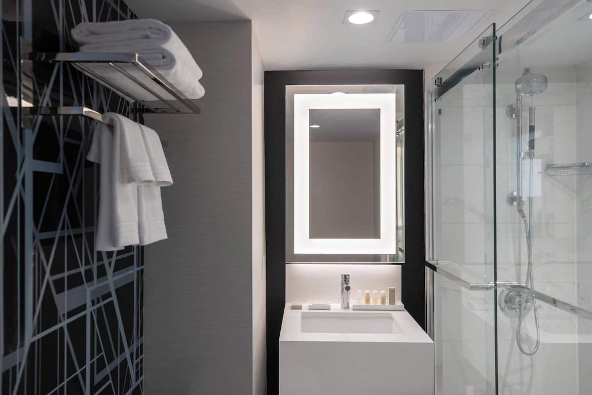 shower, free toiletries, hair dryer, towels