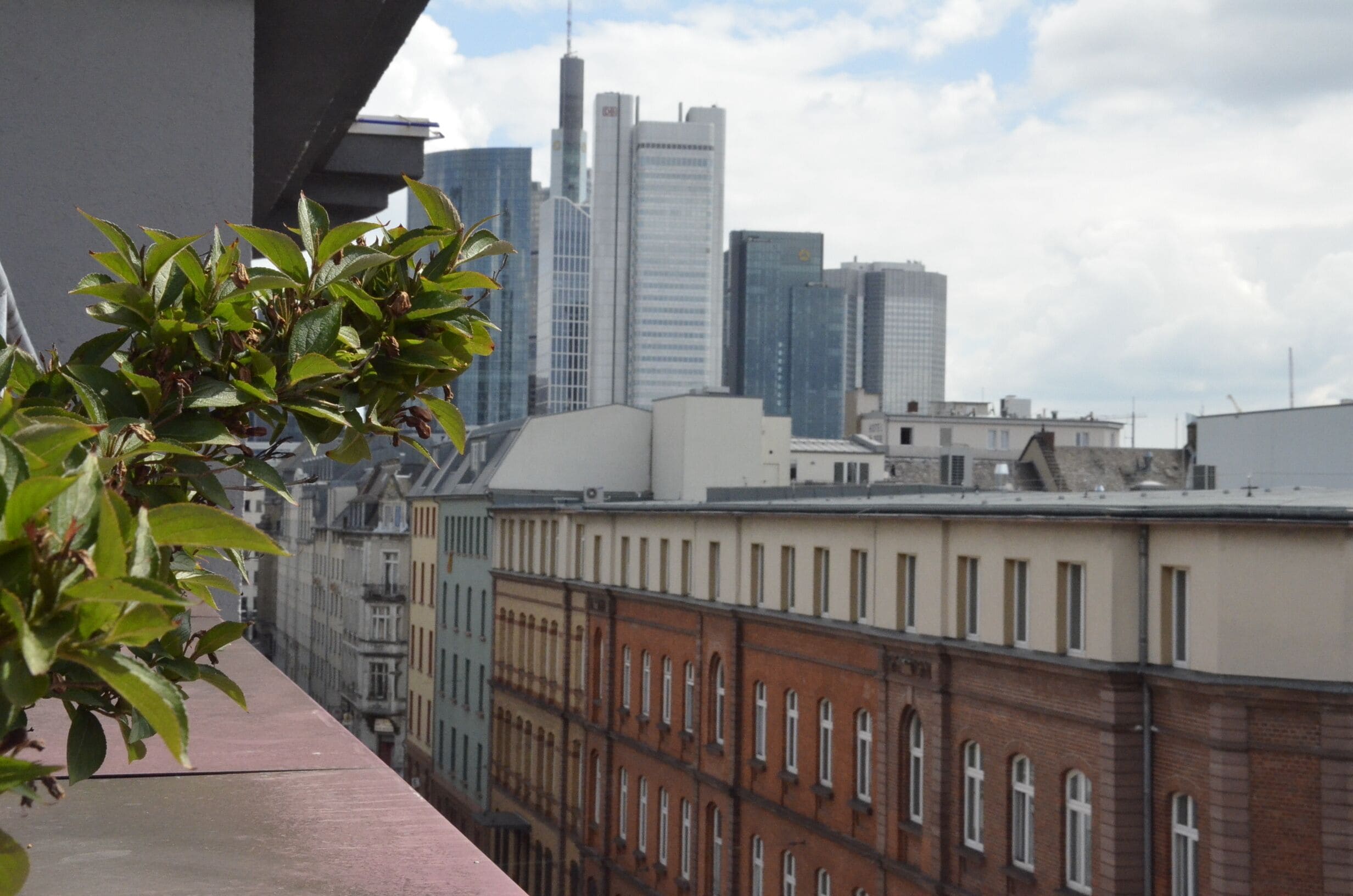 Foto - Bristol Hotel Frankfurt