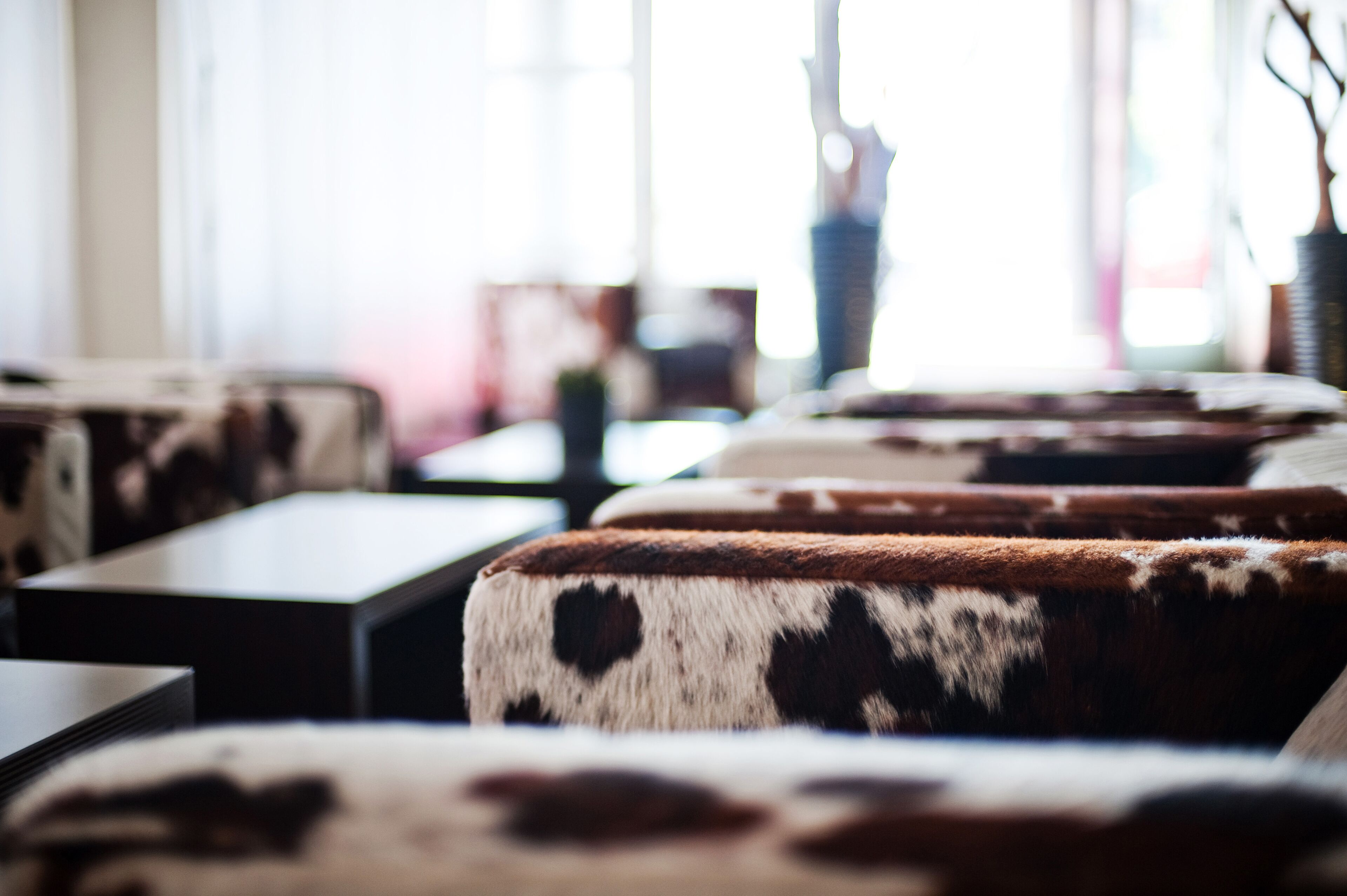 Foto - Bristol Hotel - Frankfurt City Centre - Central