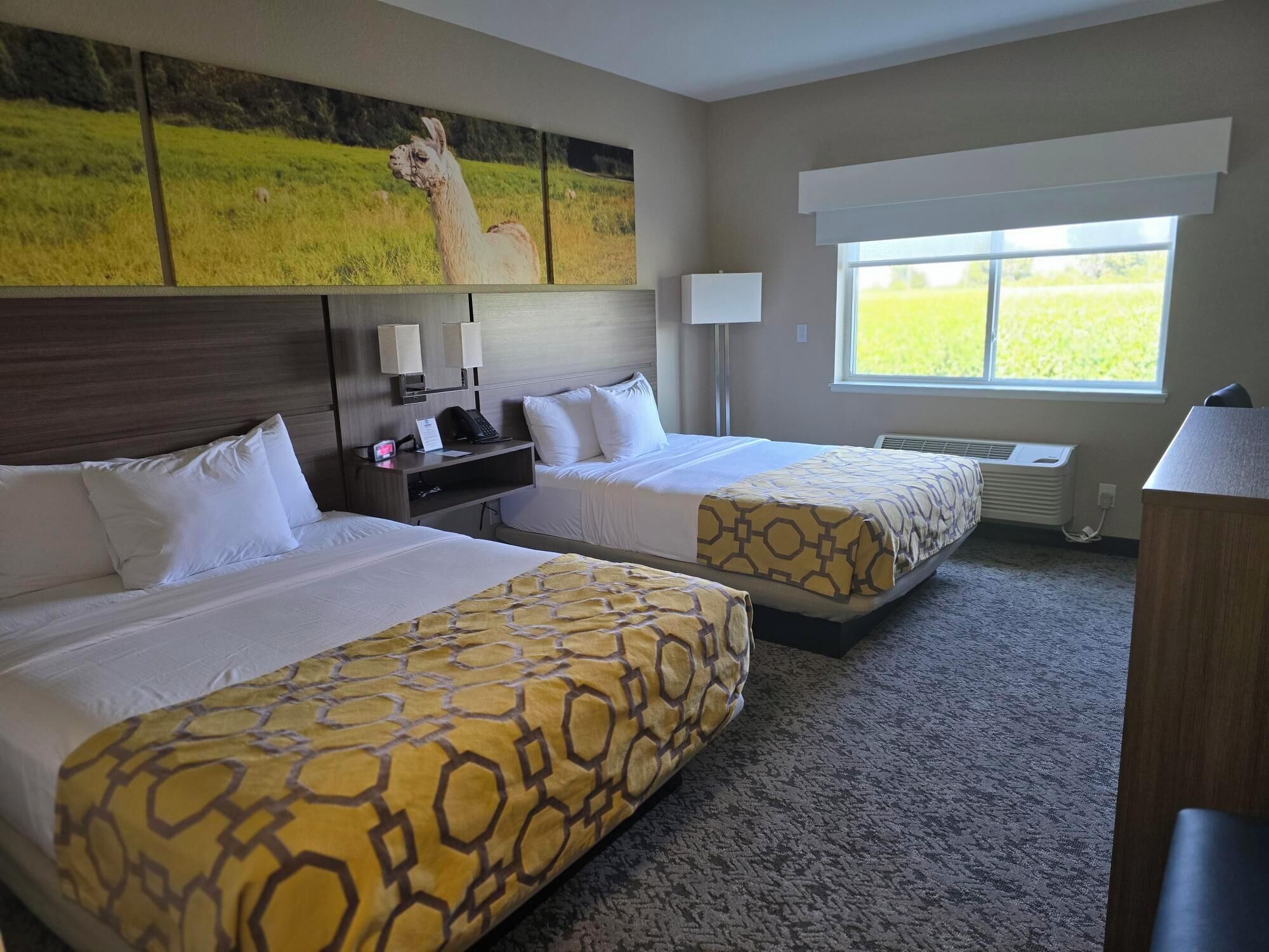 A hotel room with two beds, a desk with a phone and lamp, a large window with a view of a field, and a painting of a llama on the wall.