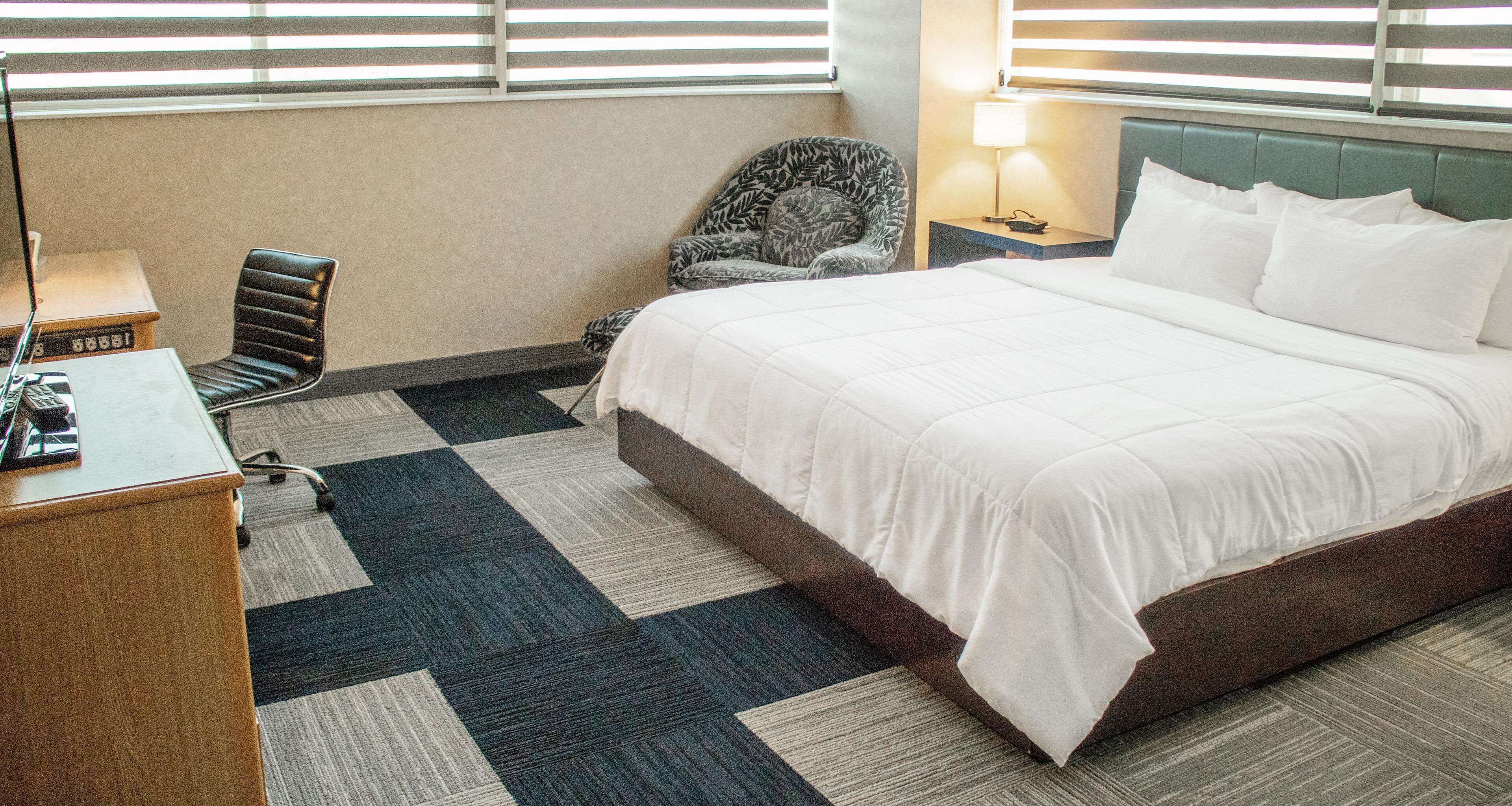 Habitación de hotel con una cama grande, un escritorio, una silla y una lámpara.