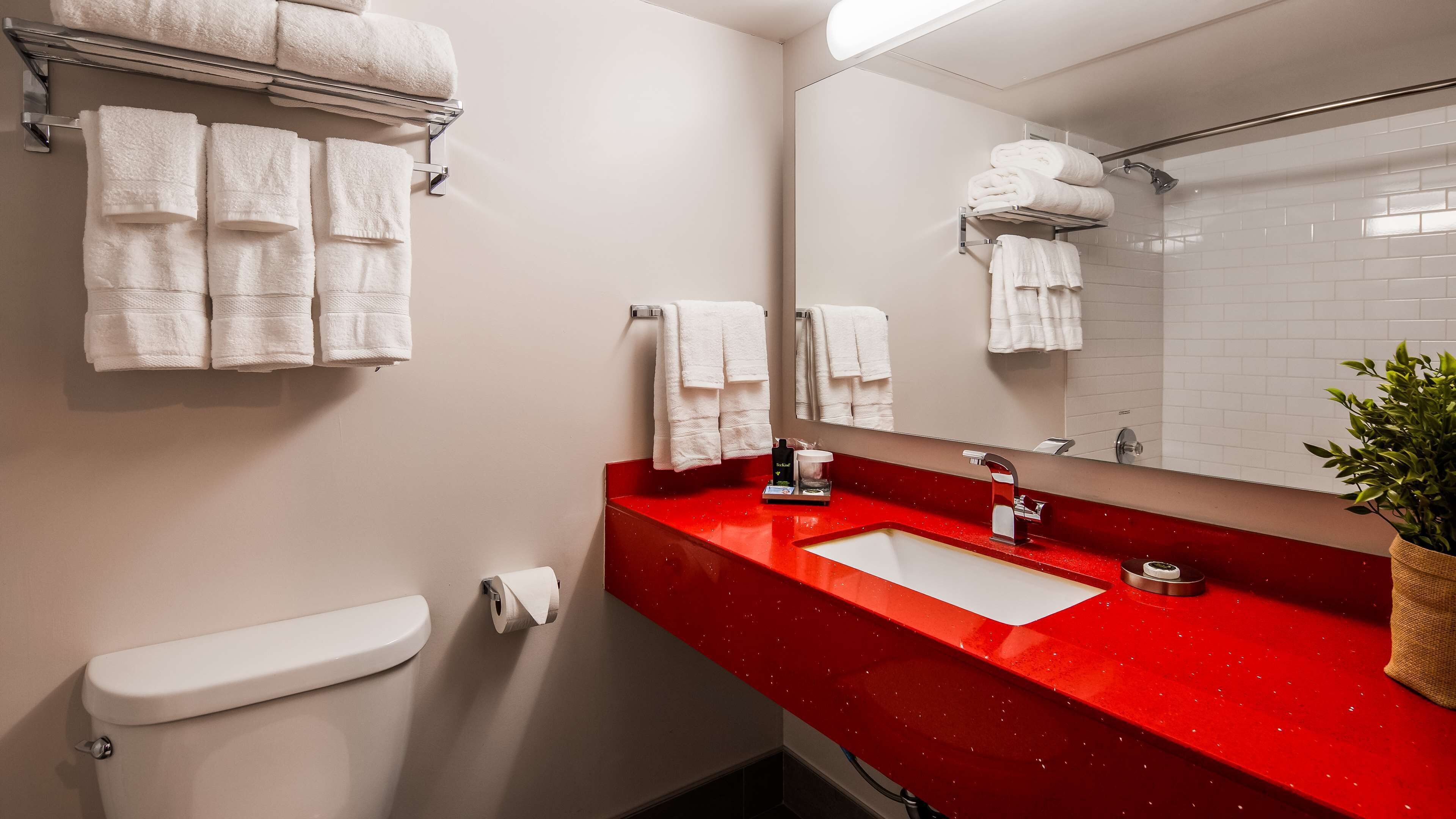 combined shower/bathtub, free toiletries, hair dryer, towels