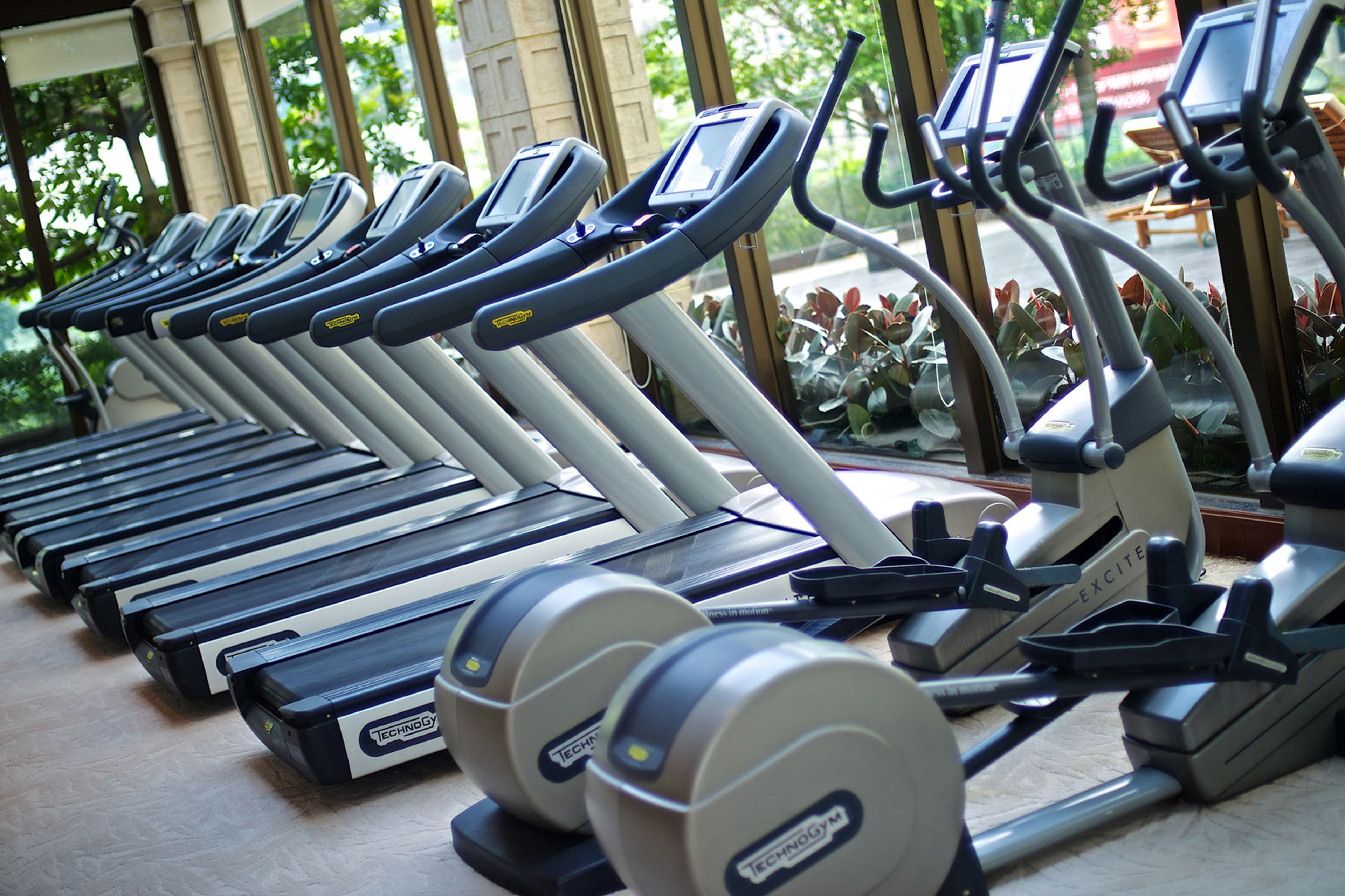 A row of stationary exercise bikes with digital displays, arranged in a gym setting with large windows and indoor plants.