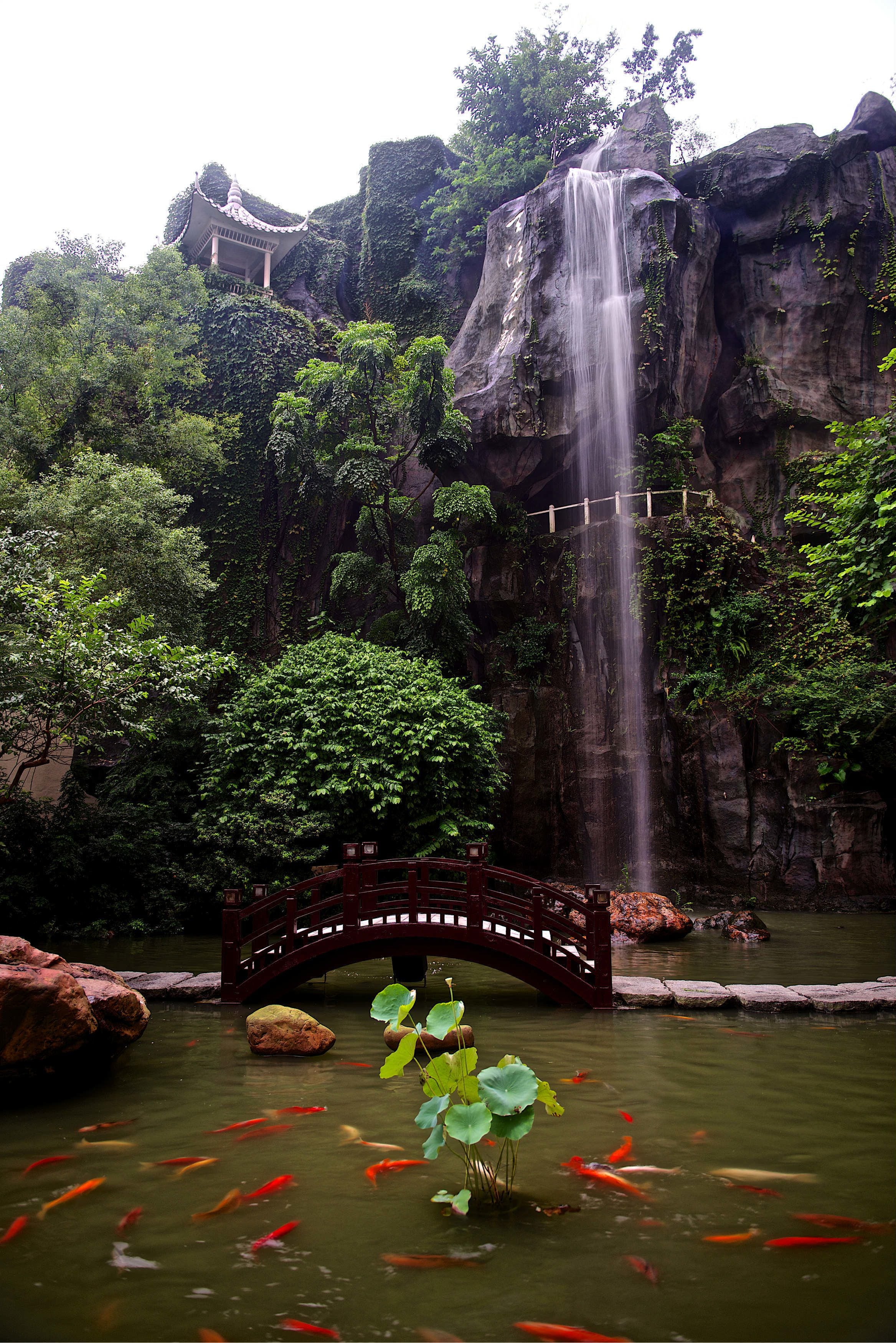 Foto - The Garden Hotel Guangzhou
