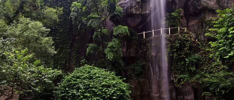 Pemandangan dari hartanah