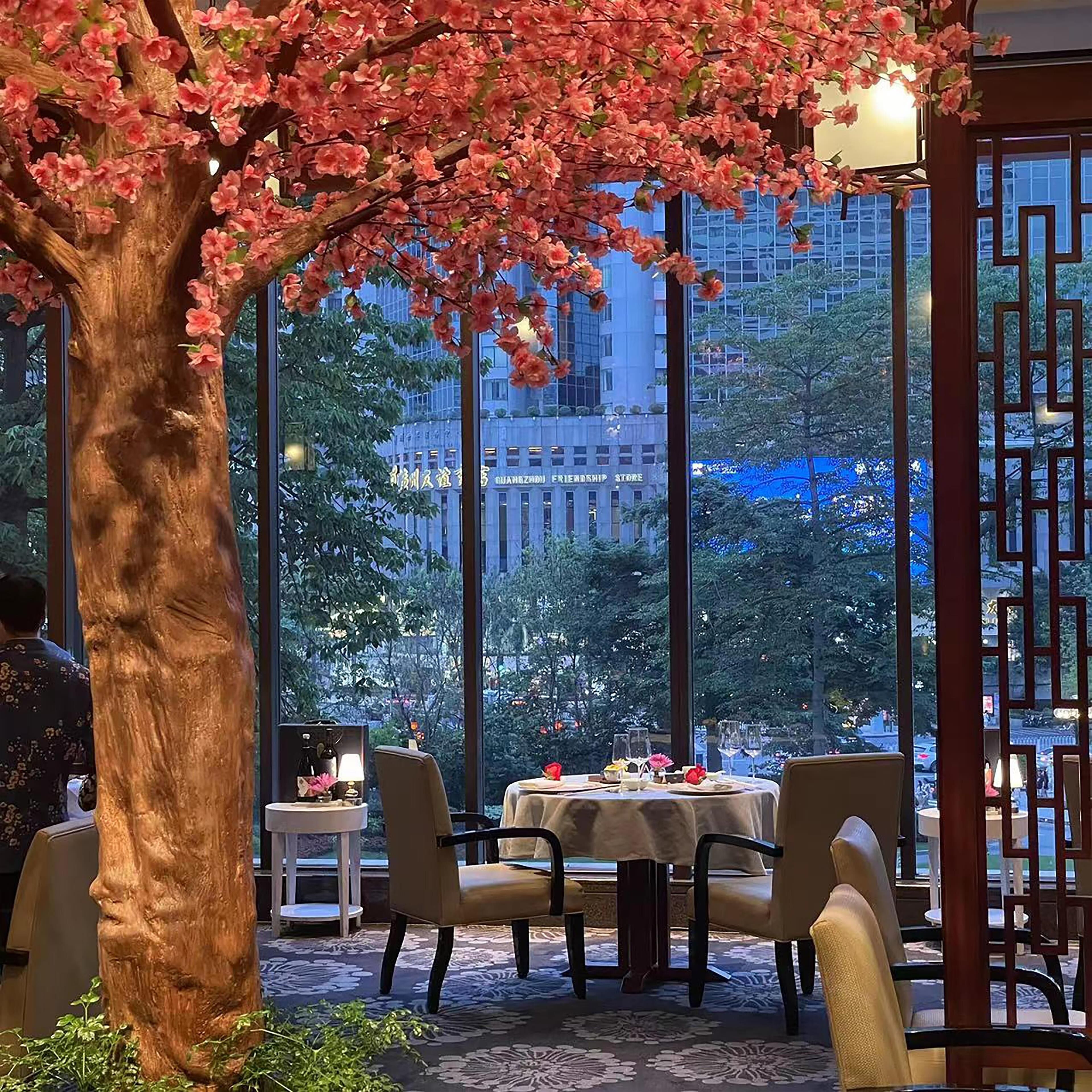 A restaurant with a large tree and a view of a cityscape.