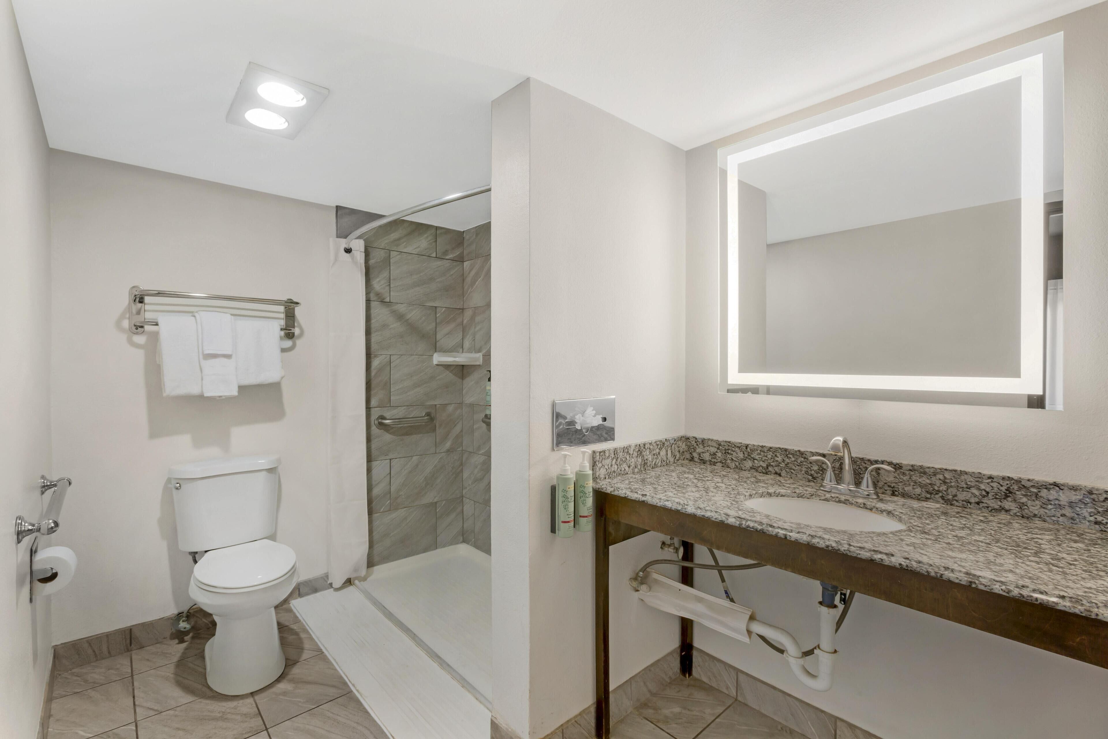 Suite, 1 très grand lit, accessible aux personnes à mobilité réduite (Walk-in Shower;with Sofabed) | Salle de bain | Ensemble baignoire-douche, articles de toilette (gratuits)