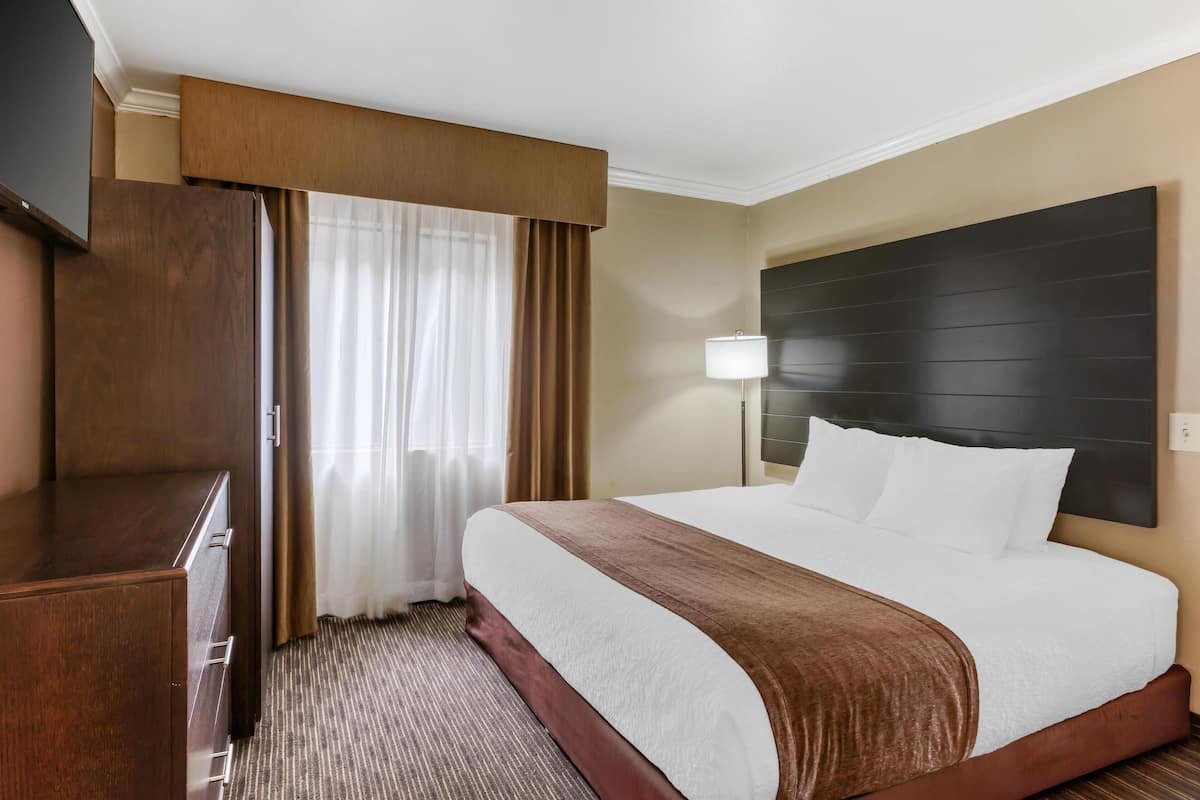 Suite, 1 King Bed, Accessible (Walk-in Shower;with Sofabed)