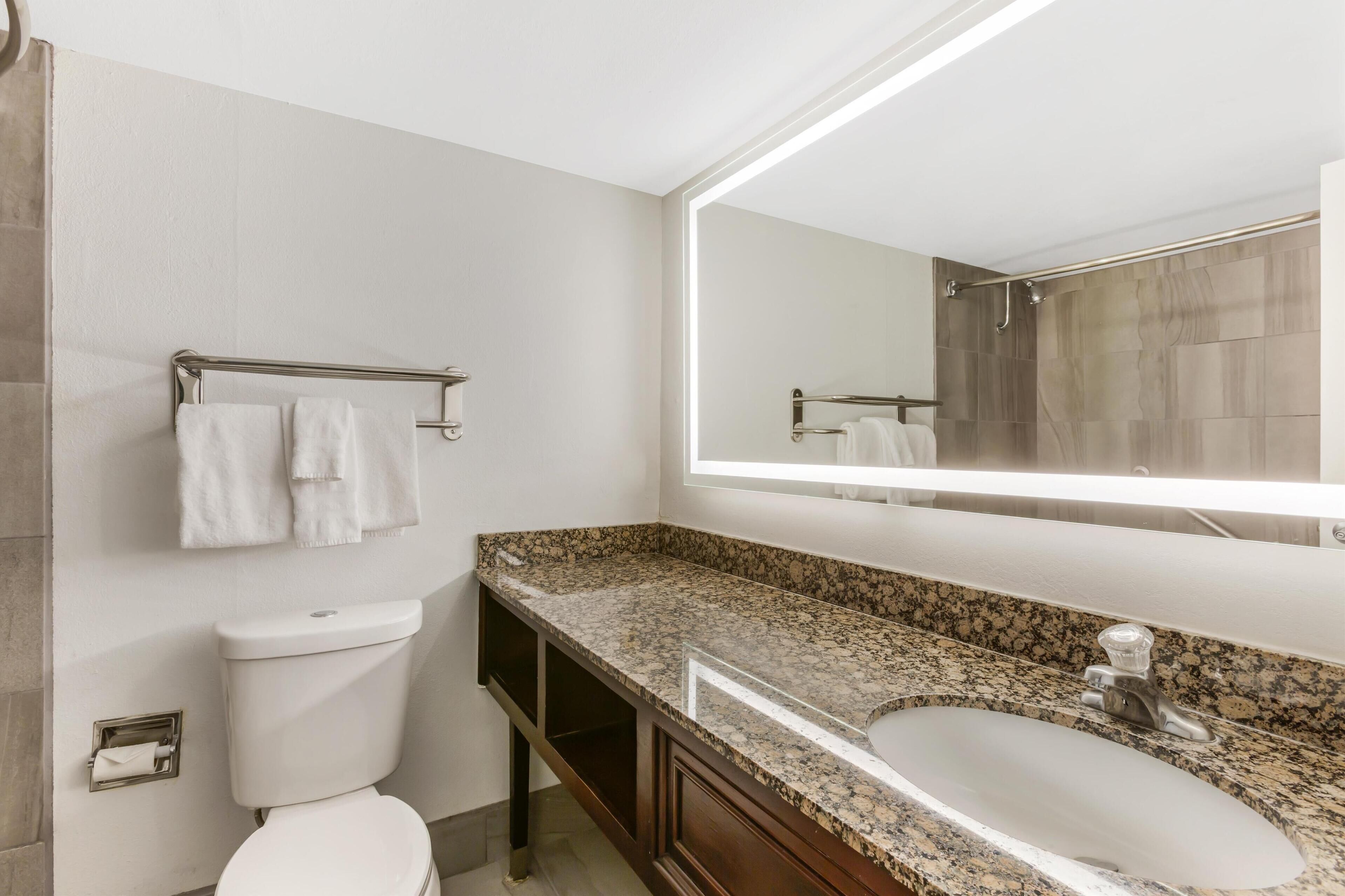 A bathroom with a toilet, sink, and mirror.