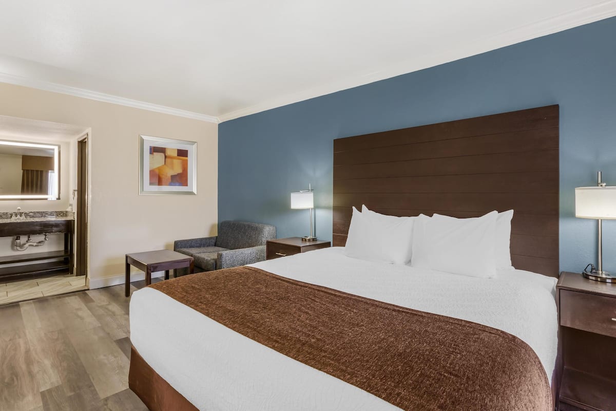 Standard Room, 1 King Bed, Non Smoking, Refrigerator & Microwave (with Single Sofabed)