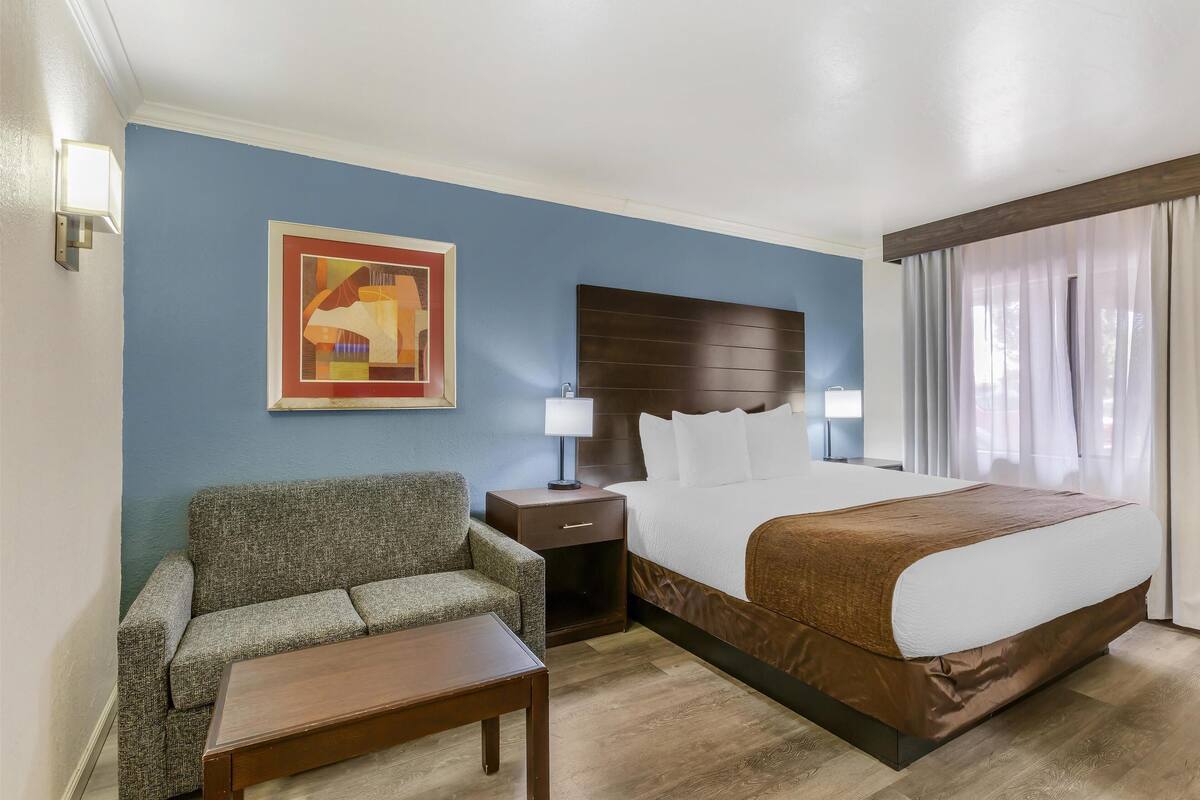 A hotel room with a bed, a sofa, a nightstand, a lamp, a painting, and a window with curtains.