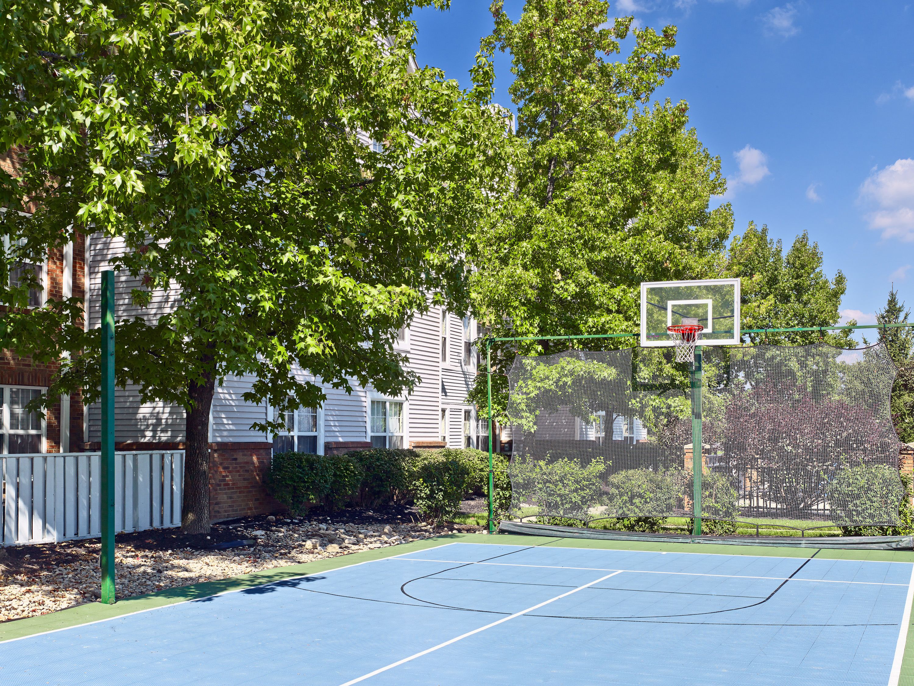 basketball court