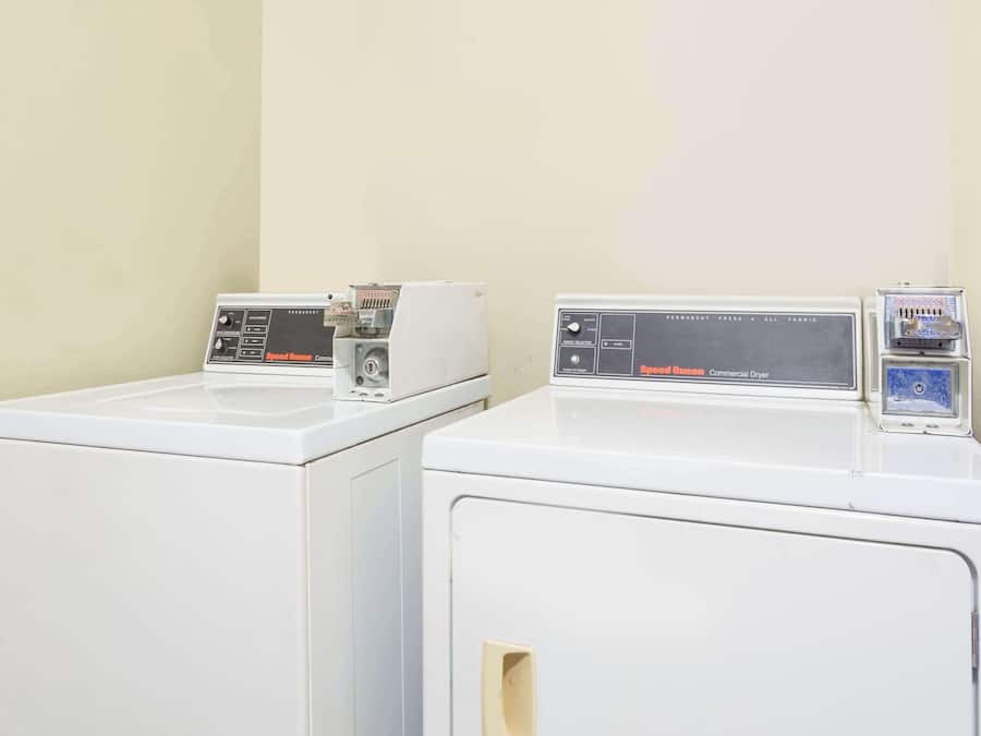 Deux sèche-linge commerciaux blancs sont placés côte à côte dans une buanderie aux murs de couleur beige.