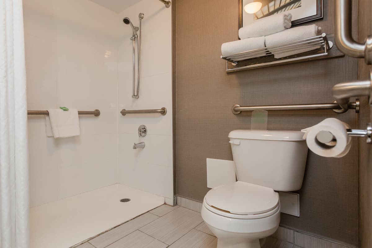 Standard Room, 1 Queen Bed, Accessible | 1 bedroom, in-room safe, soundproofing, iron/ironing board