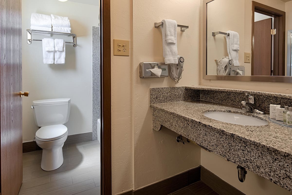 free toiletries, hair dryer, towels