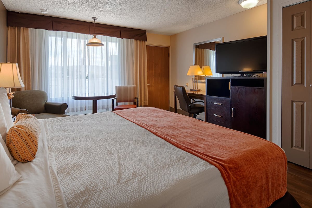 desk, iron/ironing board, free cots/infant beds, free wifi