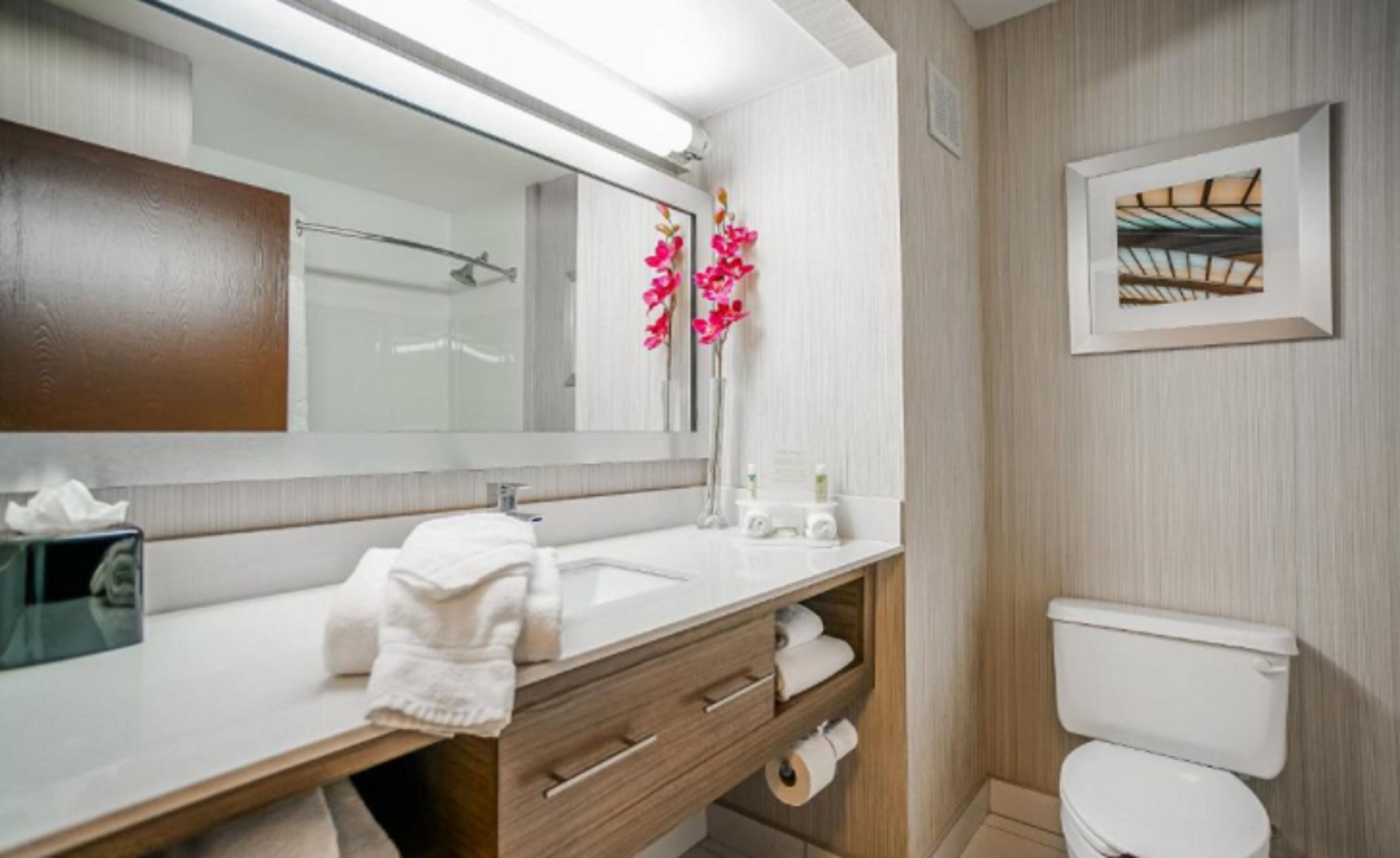 free toiletries, hair dryer, towels