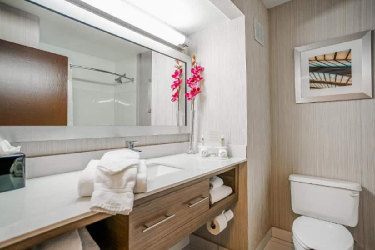 free toiletries, hair dryer, towels