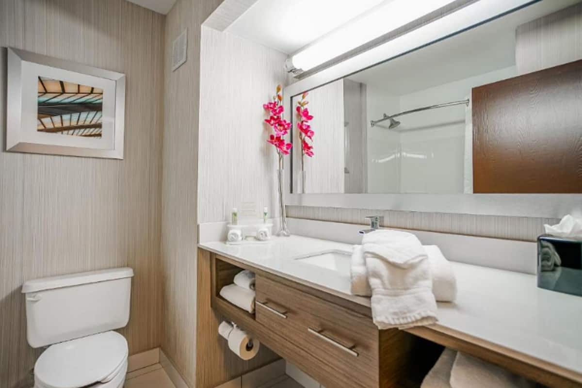 free toiletries, hair dryer, towels