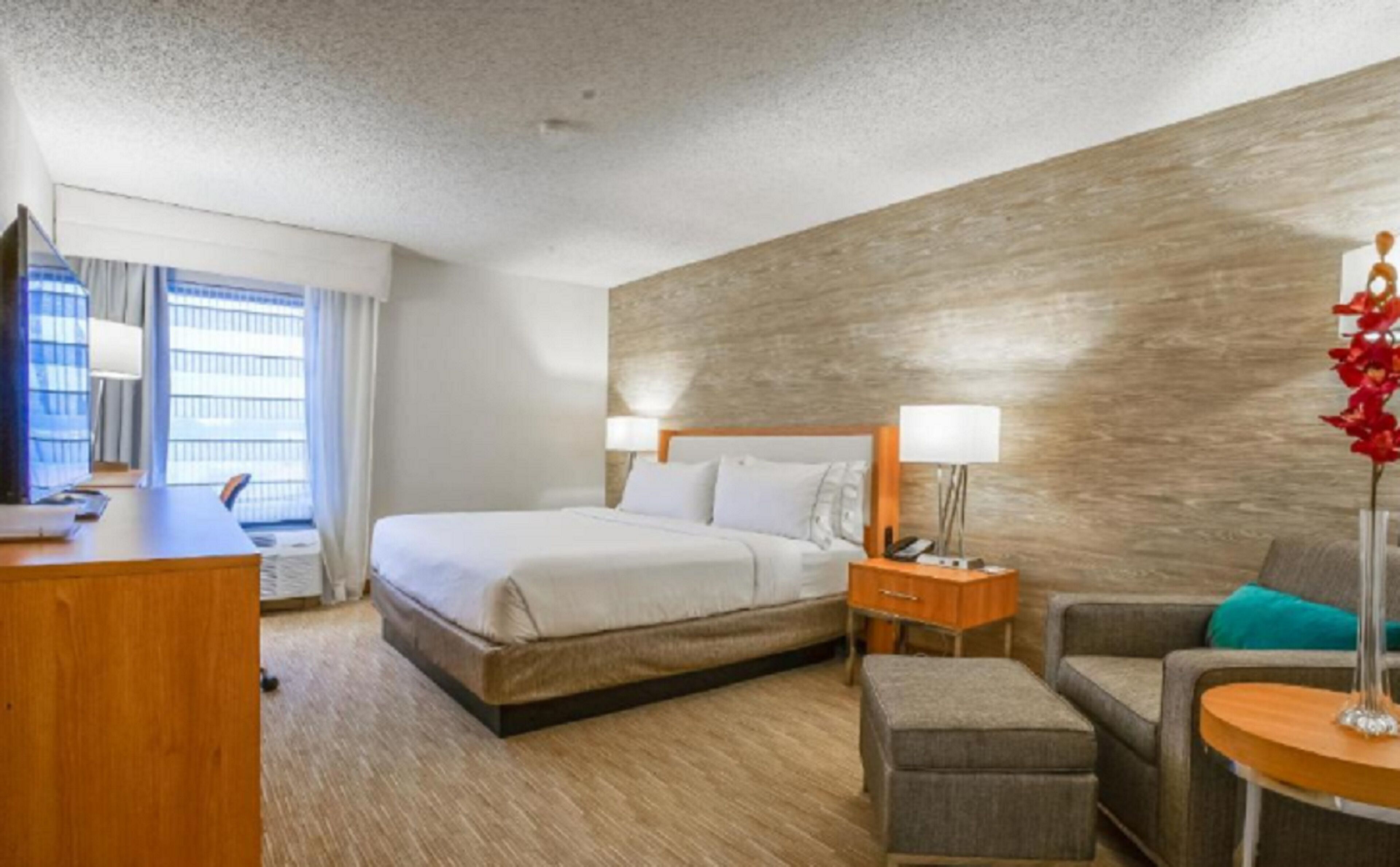 premium bedding, desk, iron/ironing board, free rollaway beds