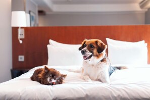 Pet-friendly - Radisson Blu Arlandia Hotel (Arlanda)