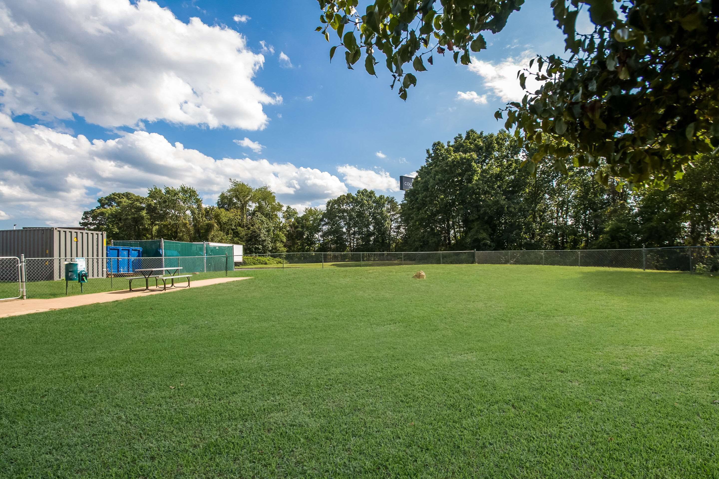 Ein grünes Feld mit einem Picknicktisch und einer Mülltonne, umgeben von einem Zaun und Bäumen.
