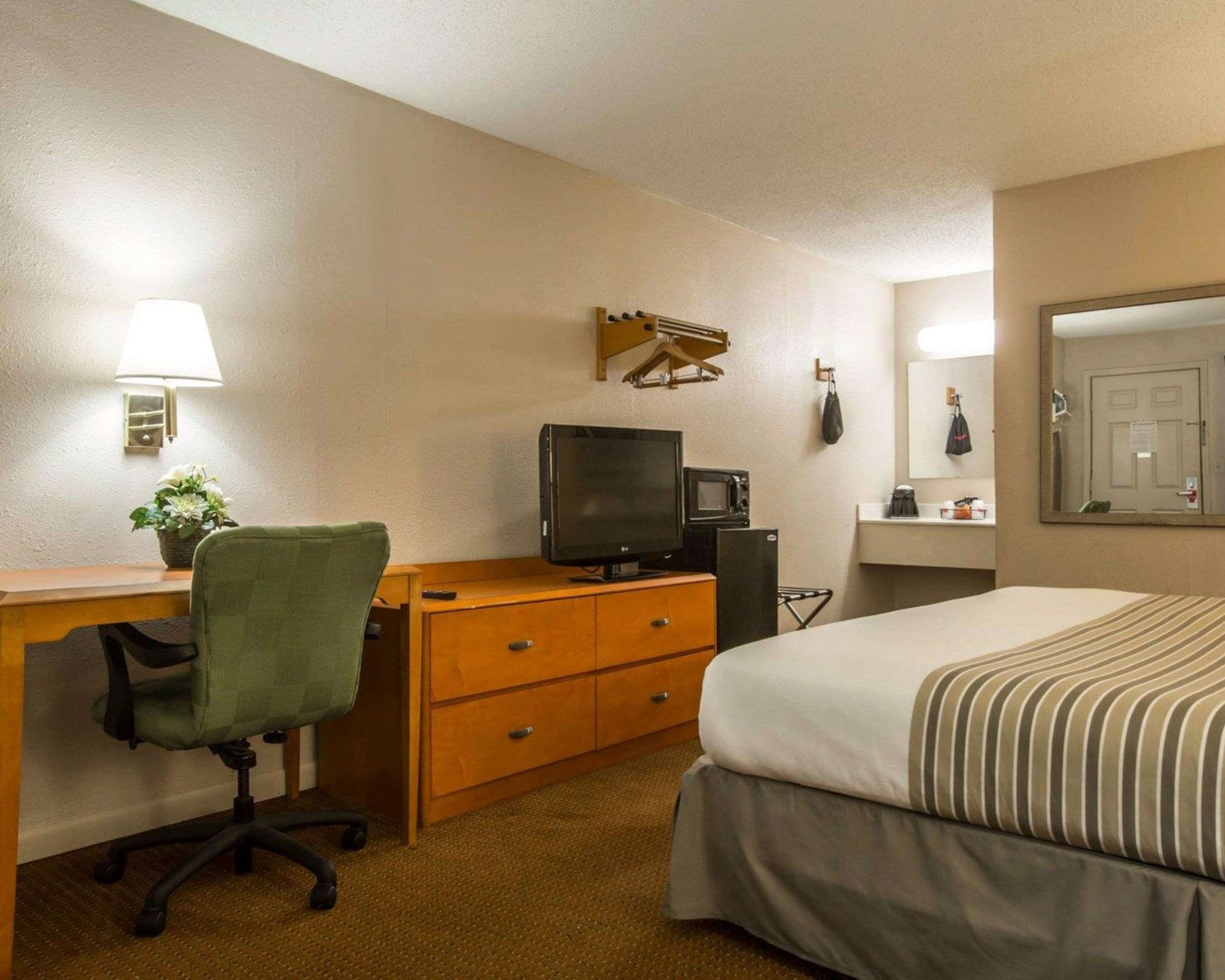 Habitación de hotel con cama, escritorio con computadora, silla, televisor, microondas y pequeña mesa con lámpara y planta.