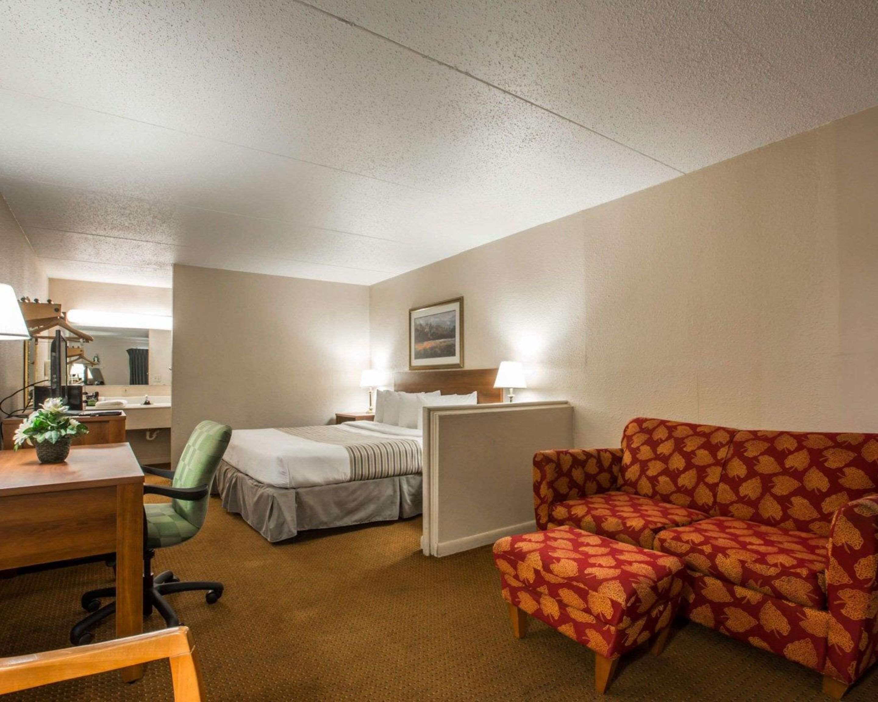Habitación de hotel con una cama, un escritorio con lámpara, una silla, un sofá y una pequeña mesa con una planta.