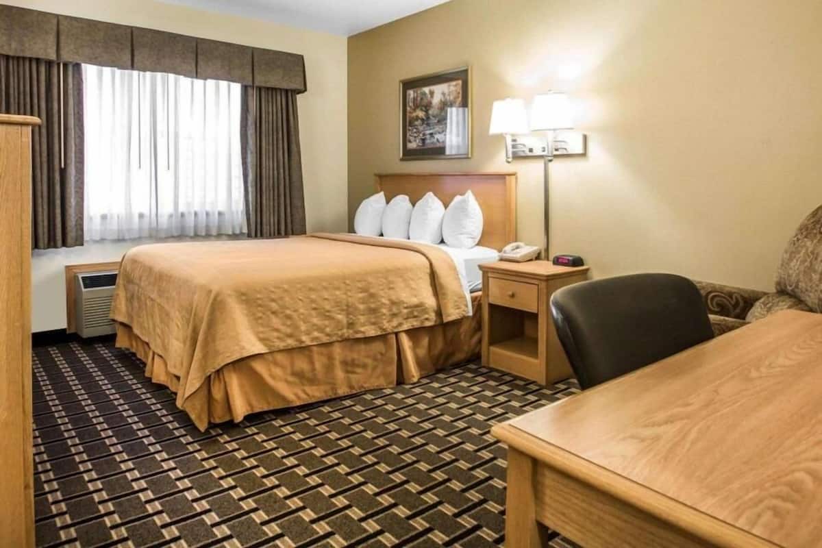 A hotel room with a bed, bedside table, lamp, chair, and a patterned carpet.