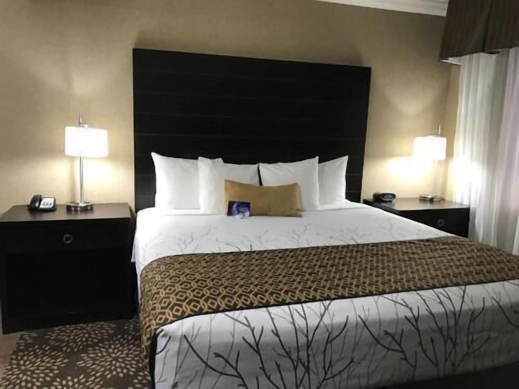 Premium bedding, pillowtop beds, desk, laptop workspace