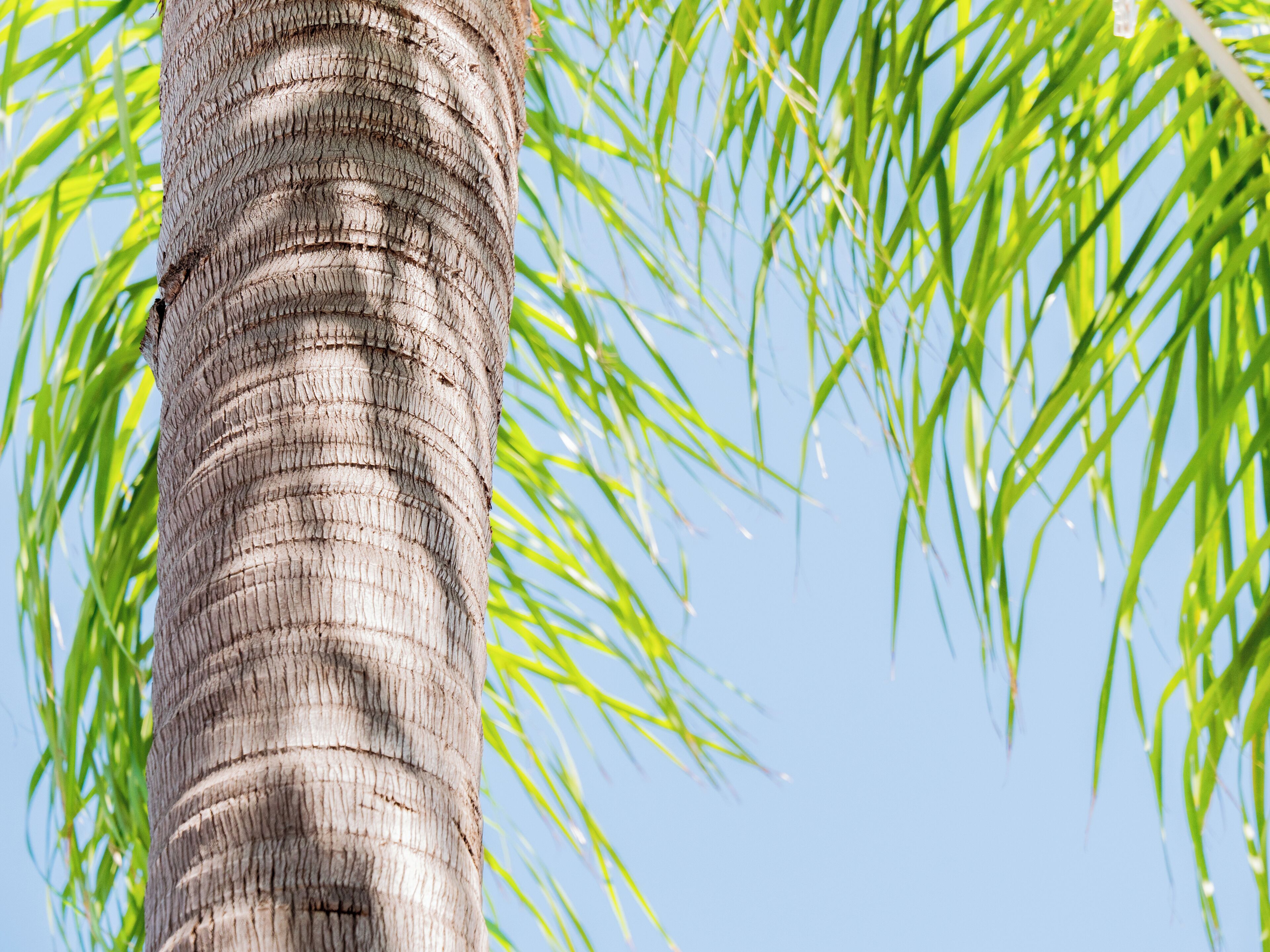 Foto - Hotel Central Wellness