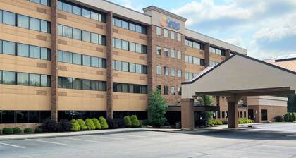 Comfort Inn & Suites Wadsworth