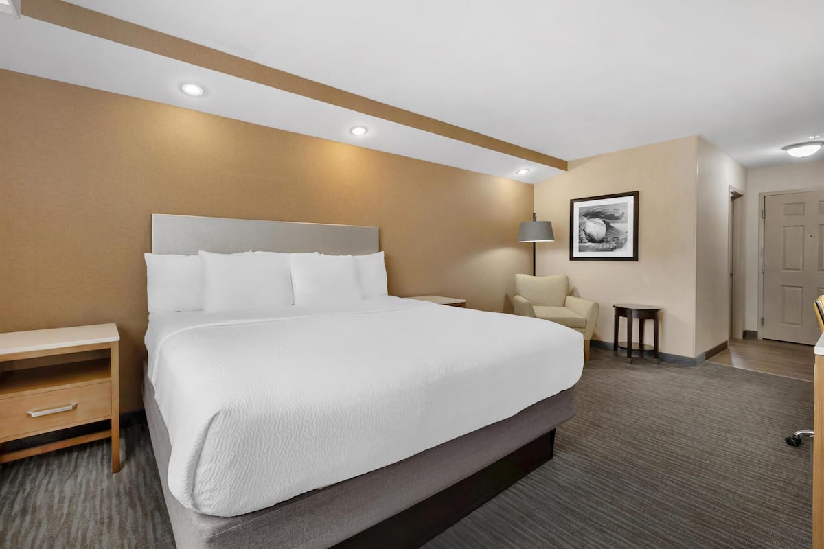 A hotel room with a large bed, a bedside table, a chair, a lamp, and a framed picture on the wall.