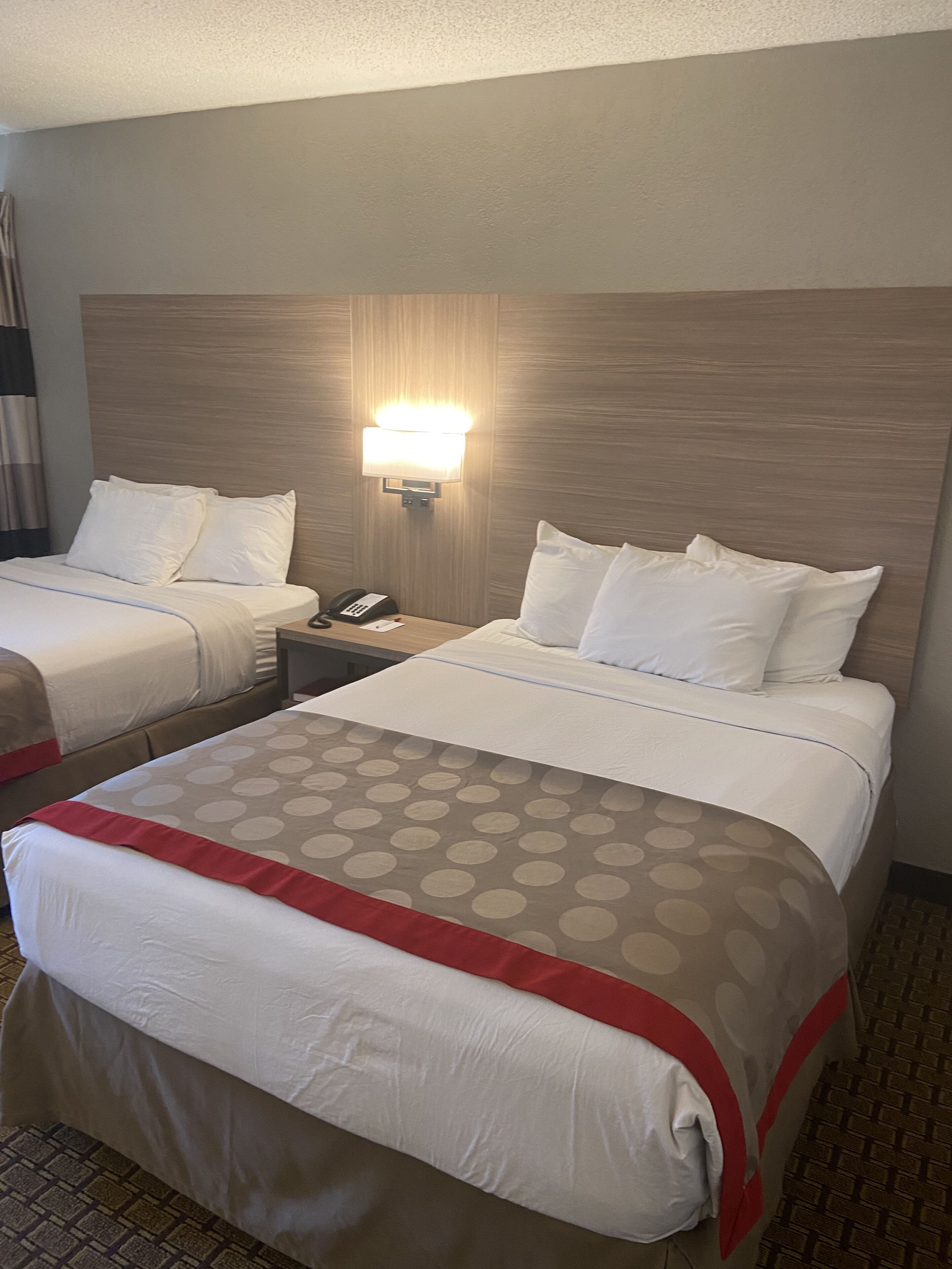 Une chambre d’hôtel avec deux lits, une table de chevet avec un téléphone et une lampe, et une couvre-lit à motifs.