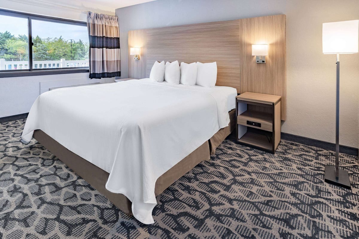 A hotel room with a large bed, bedside tables, a nightstand, a lamp, and a view of trees through the window.