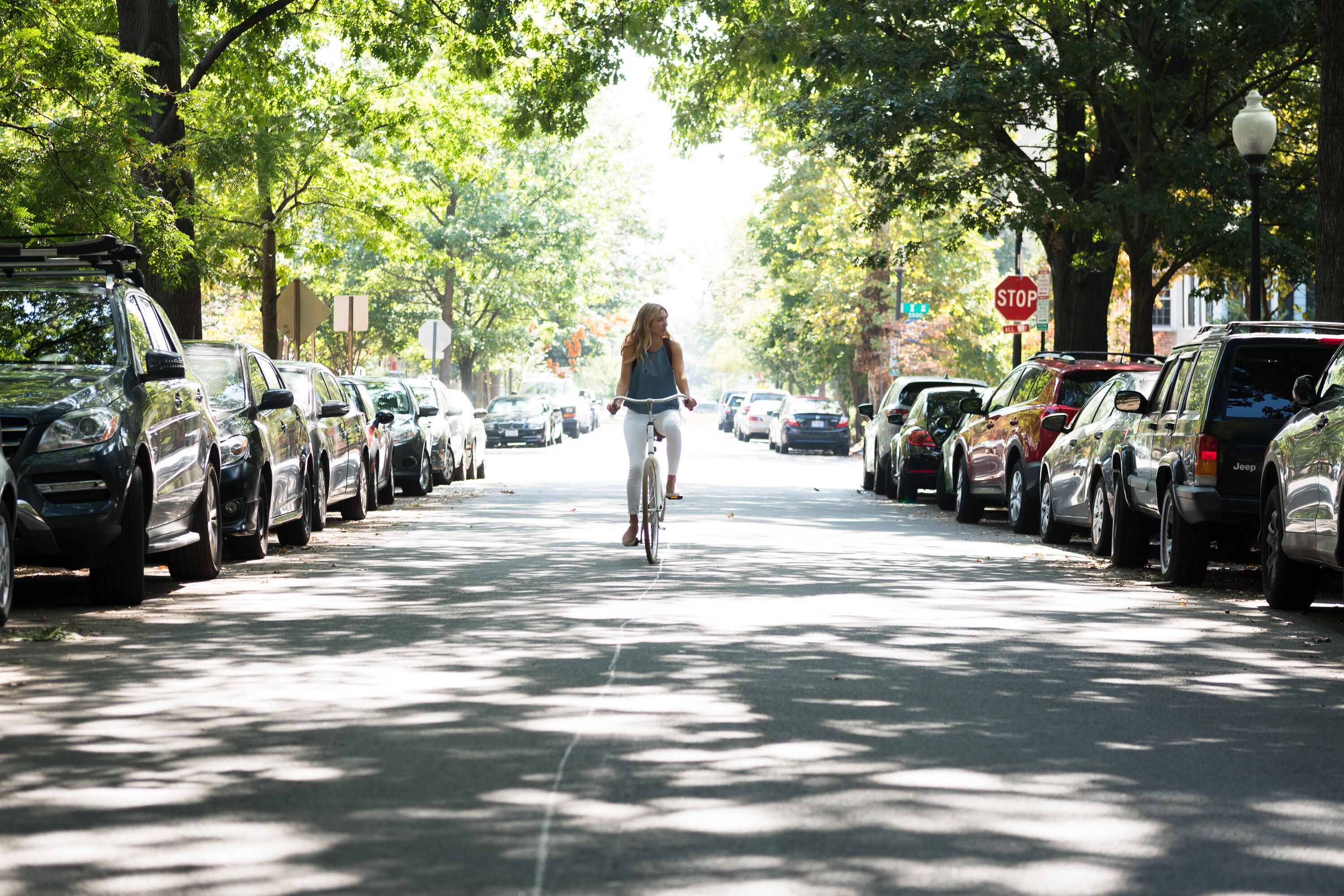 A cyclist riding down a tree-lined street with parked cars on both sides.