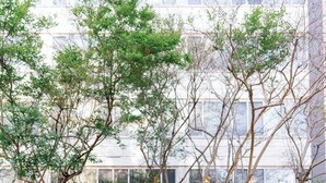 Un edificio moderno con un patio que tiene árboles y diversas flores.
