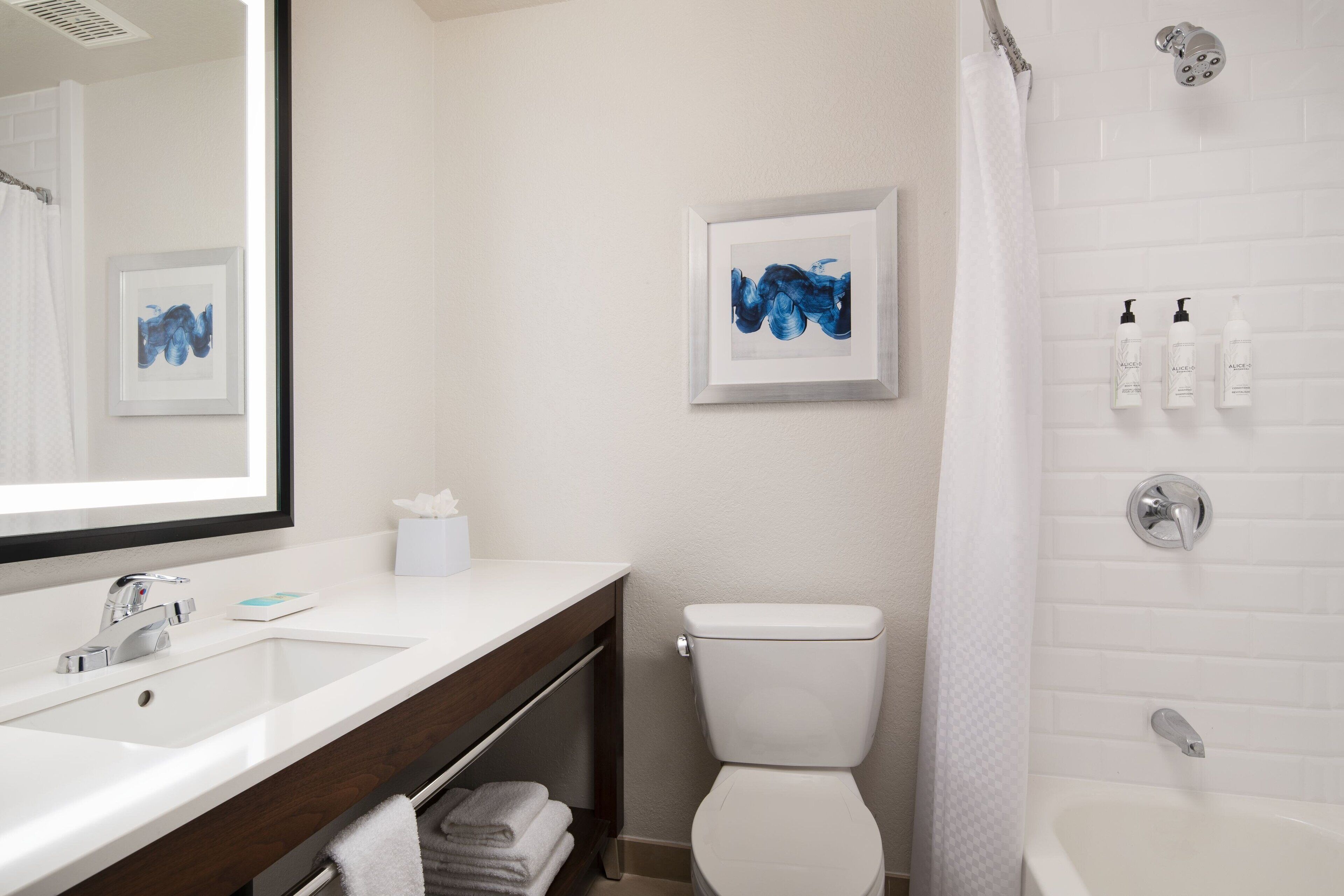 combined shower/bathtub, free toiletries, hair dryer, towels