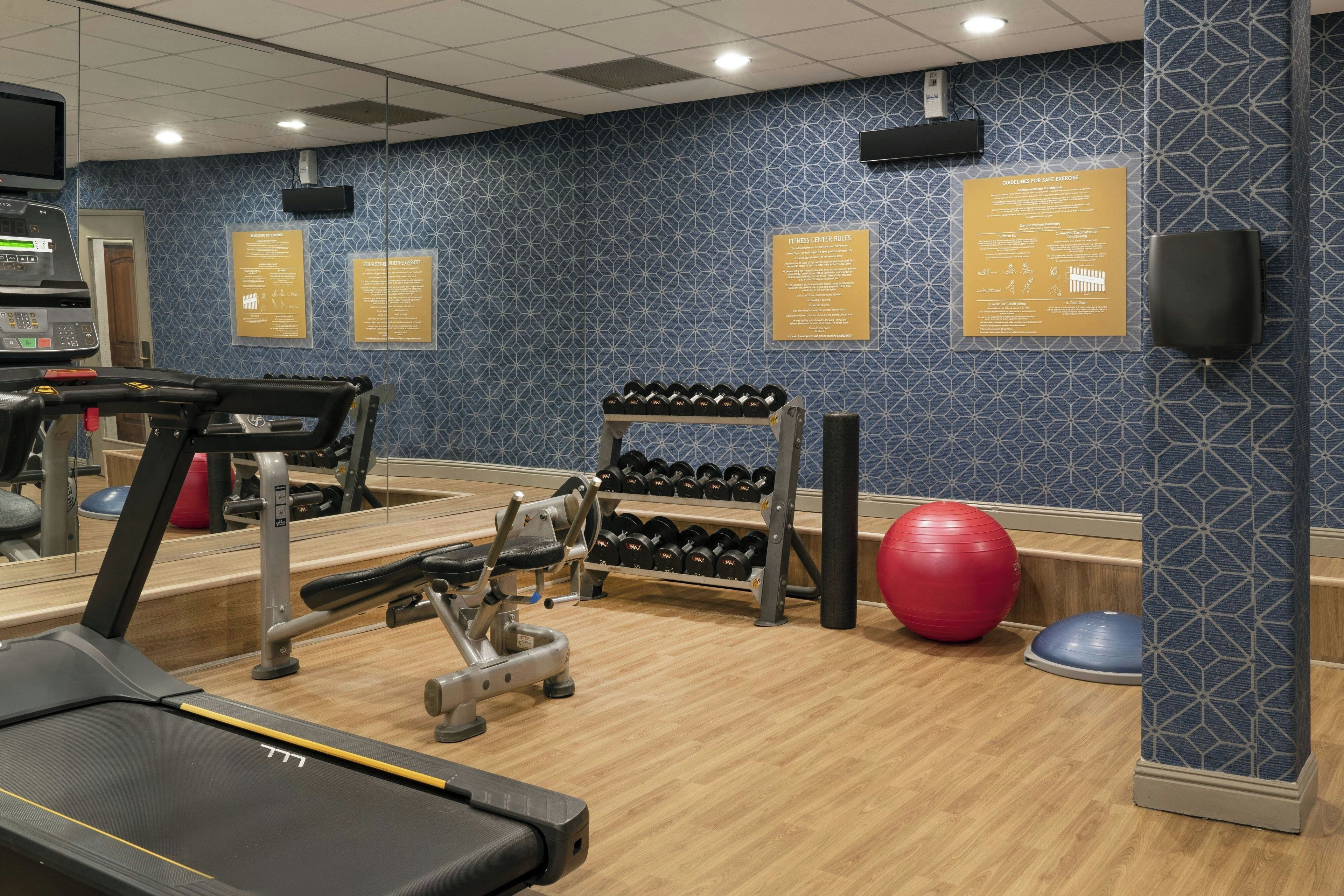 A gym with exercise equipment, a treadmill, dumbbells, and exercise balls.