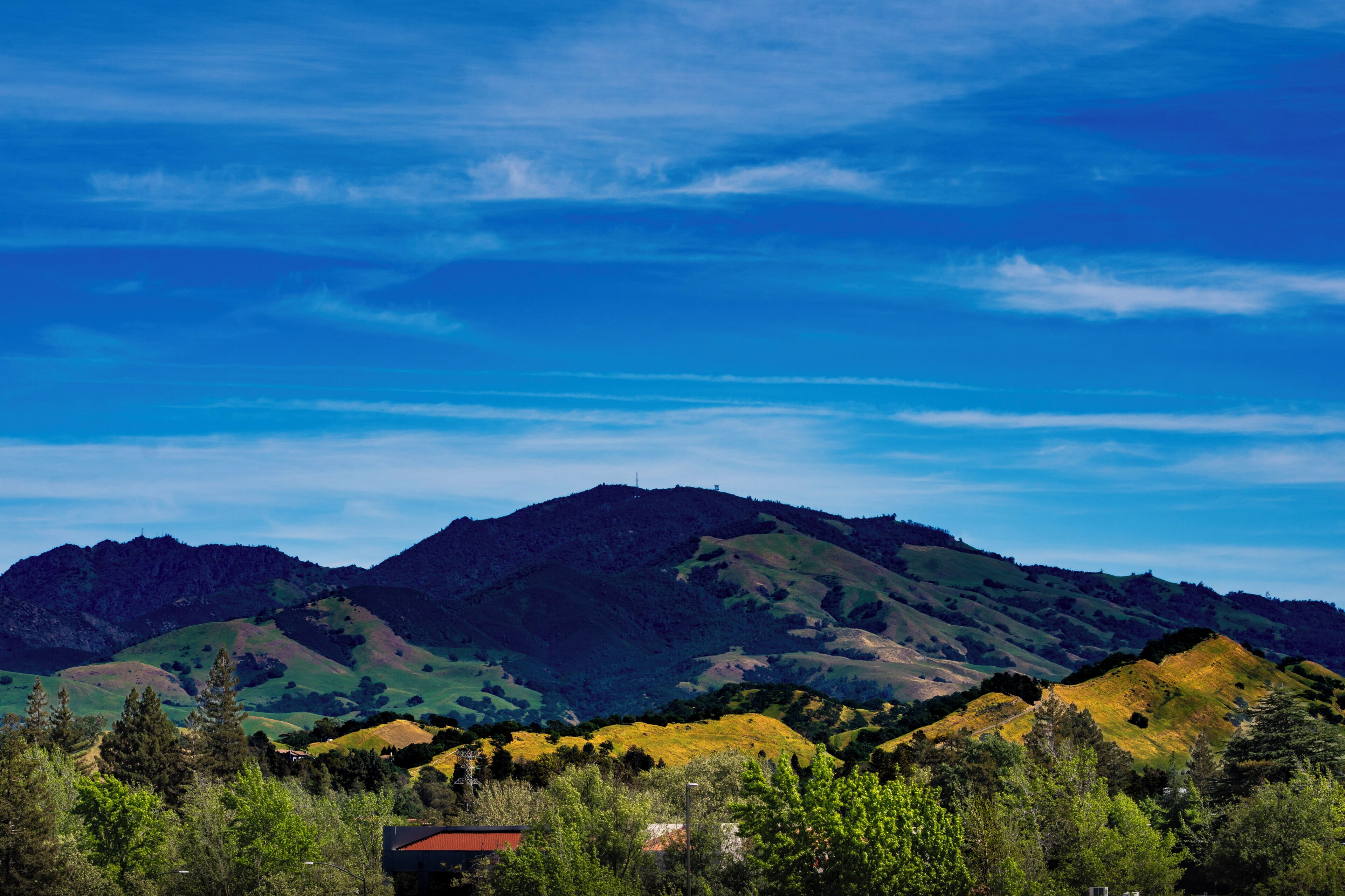 Foto - Walnut Creek Marriott