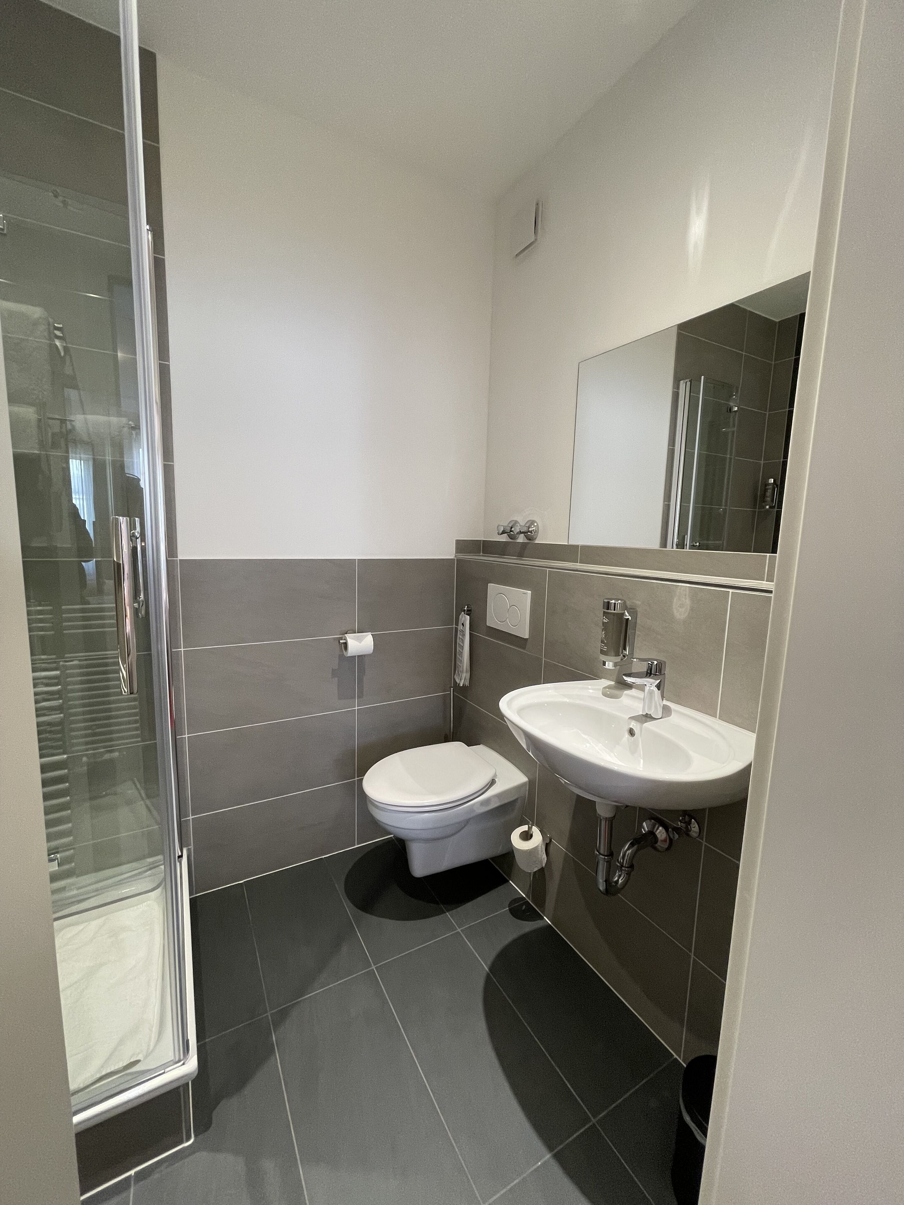 A modern bathroom with a glass shower enclosure, a toilet, and a sink with a mirror above.