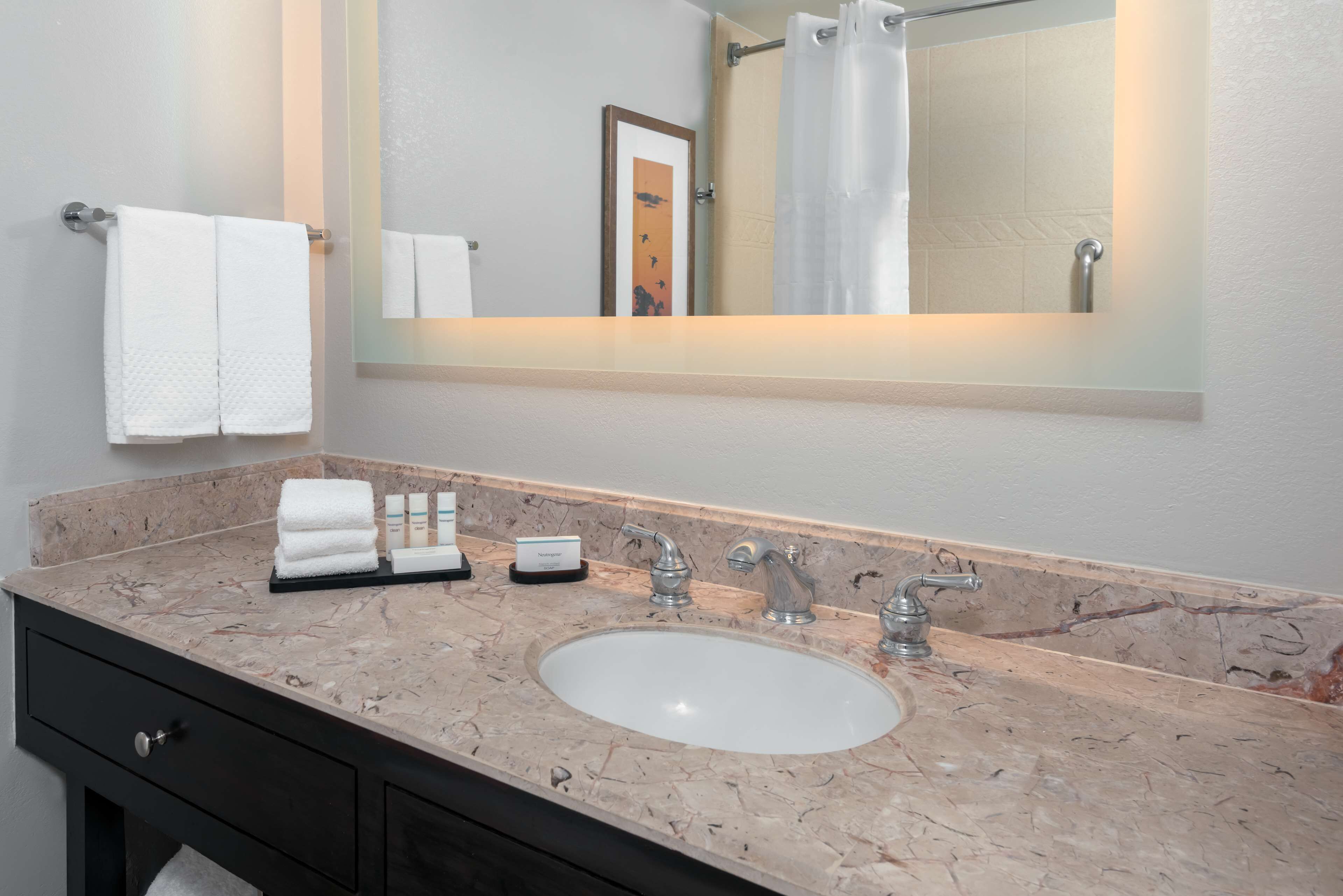 Foto - Embassy Suites Dallas - Park Central Area