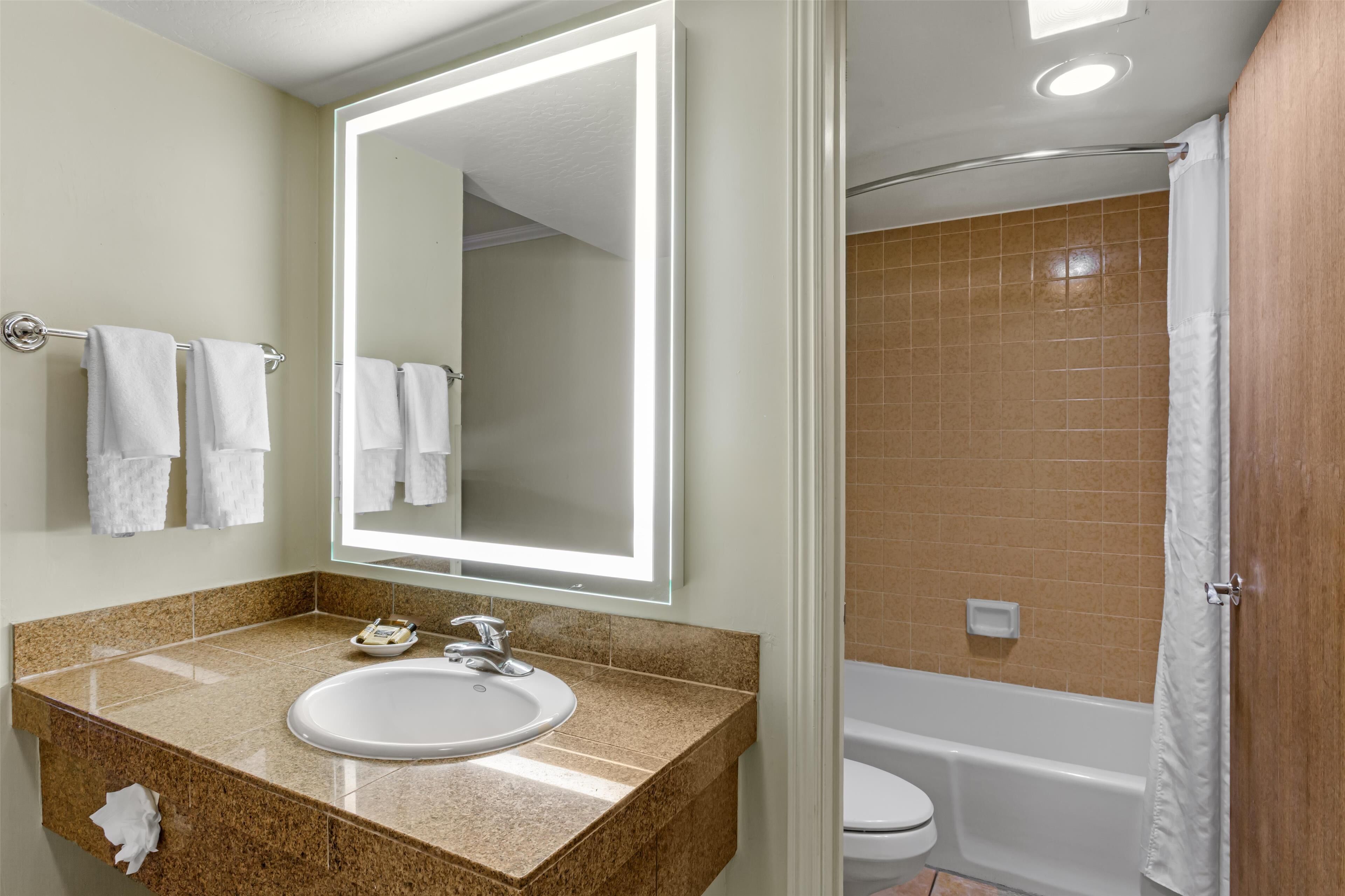 A bathroom with a sink, mirror, and a shower area.